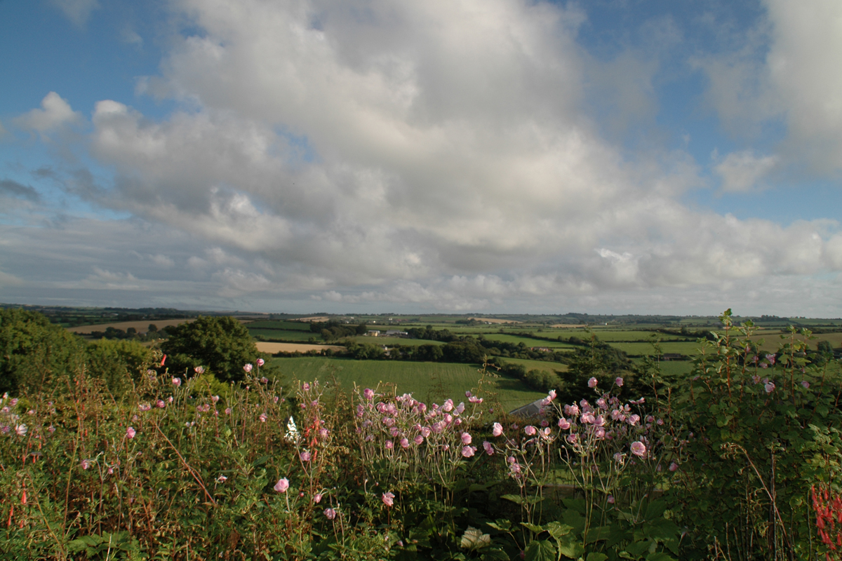 Ardfield B&B