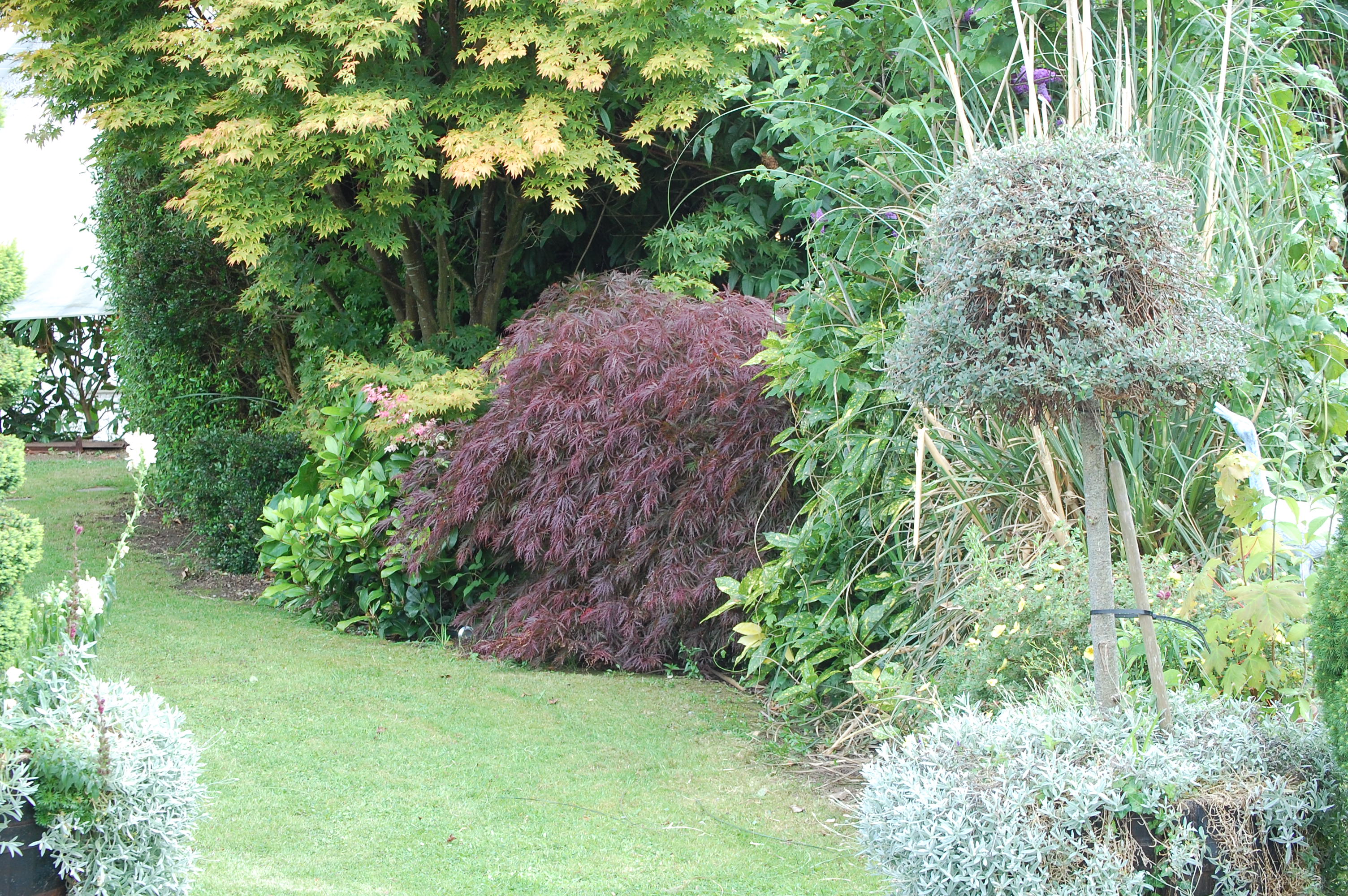 Travellers Joy B&B