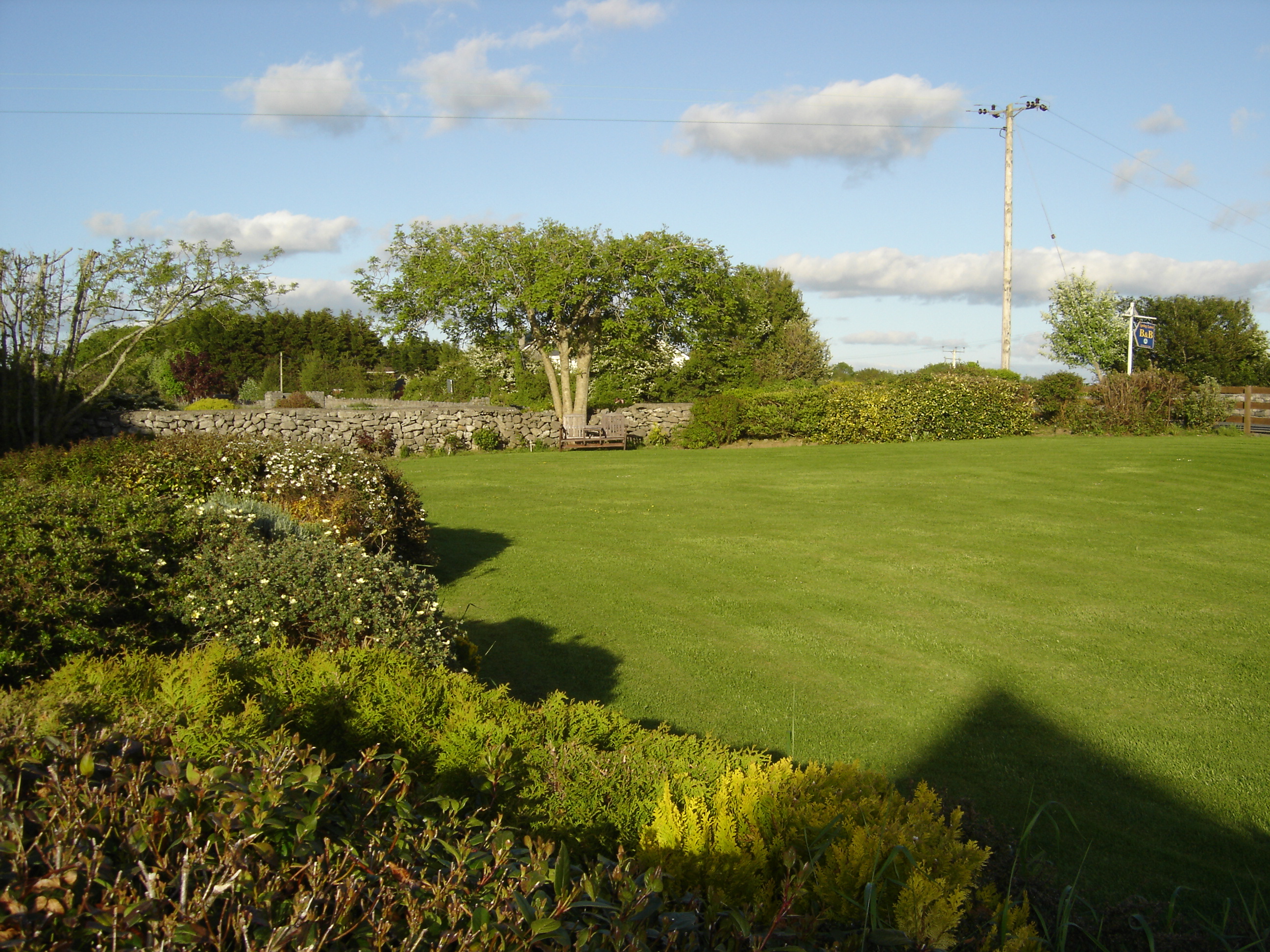 Springlawn Bed and Breakfast