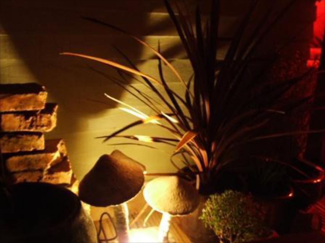 Arch Guesthouse