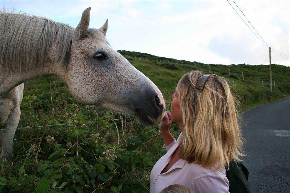 Sharamore House B&B
