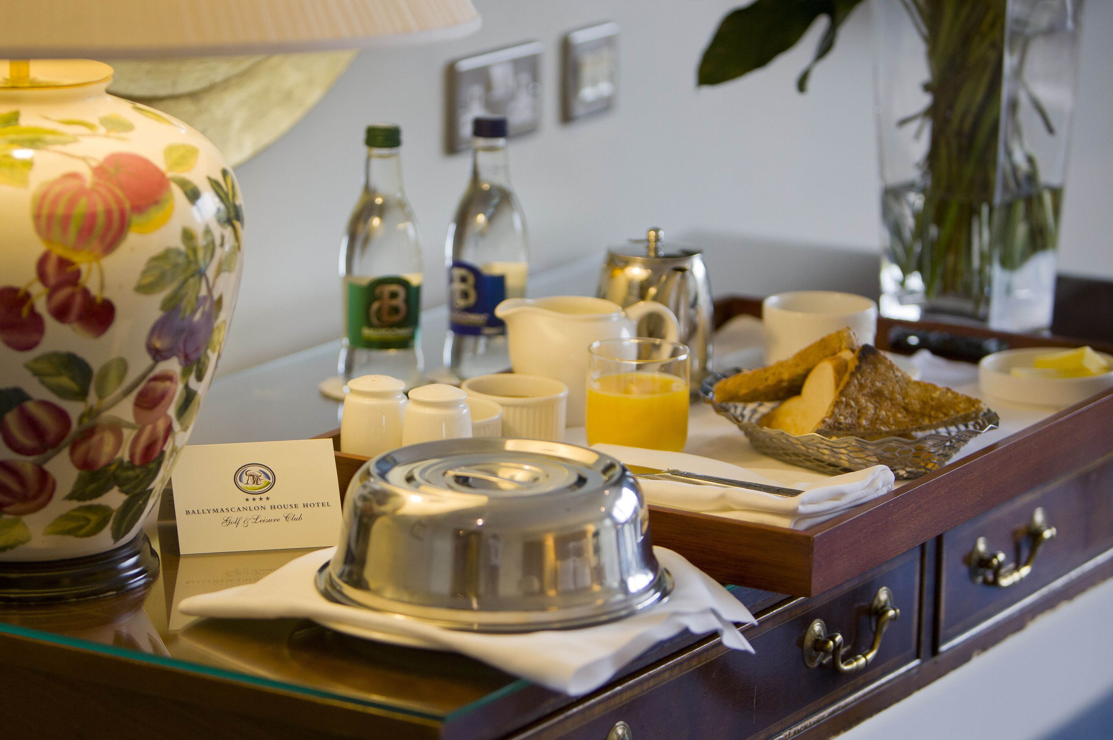 Ballymascanlon House Hotel