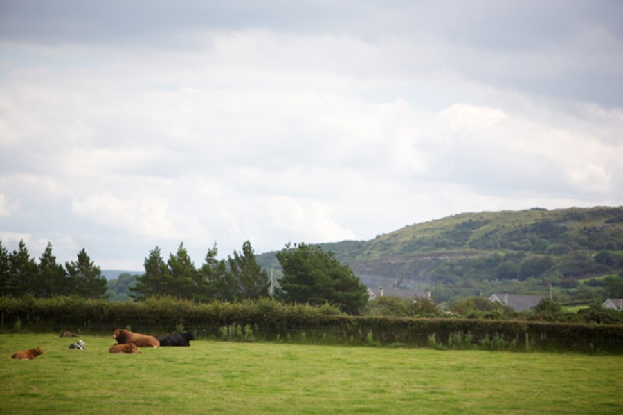Riversdale Country House