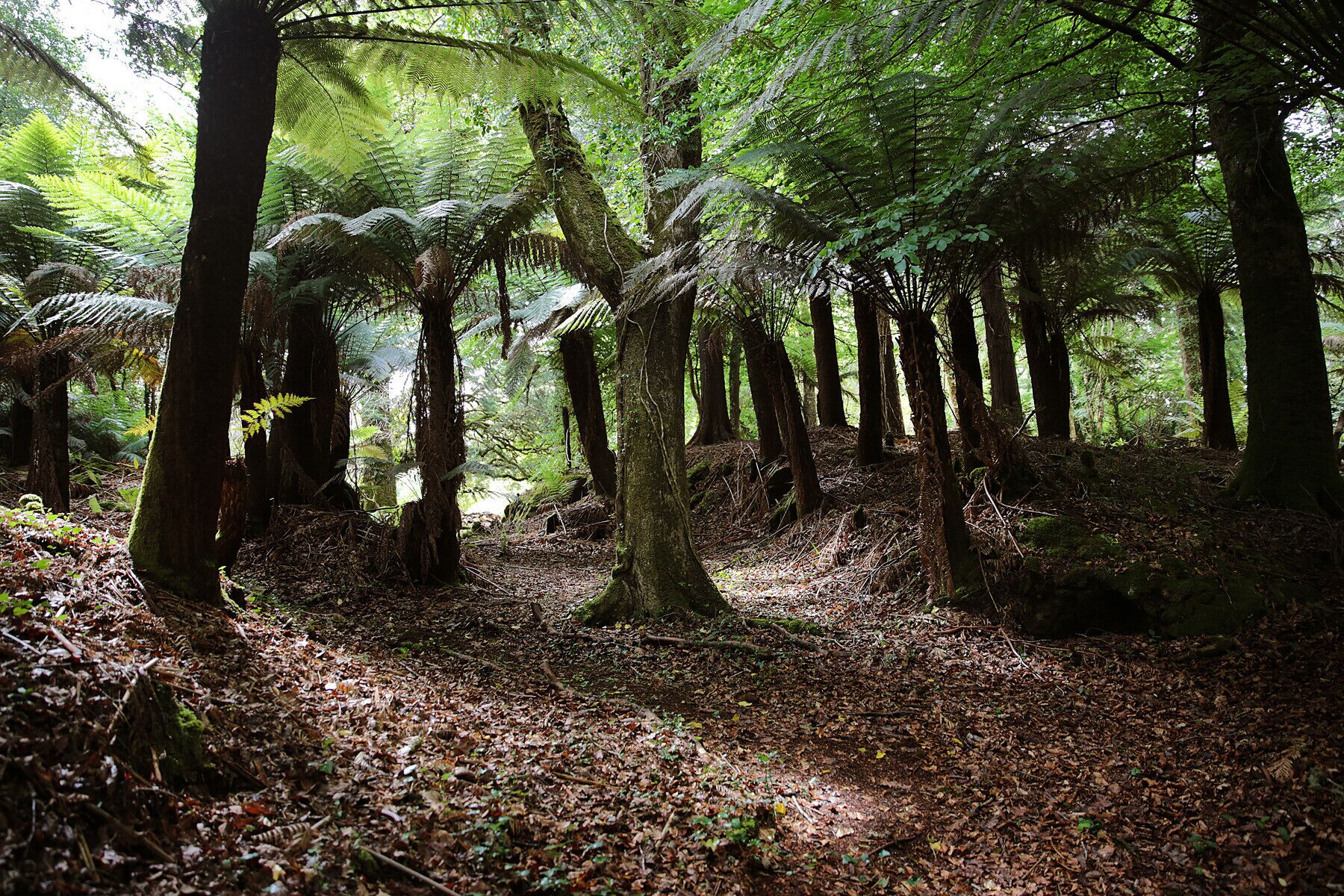 Radharc na Cealla Holiday Home by Trident Holiday Homes