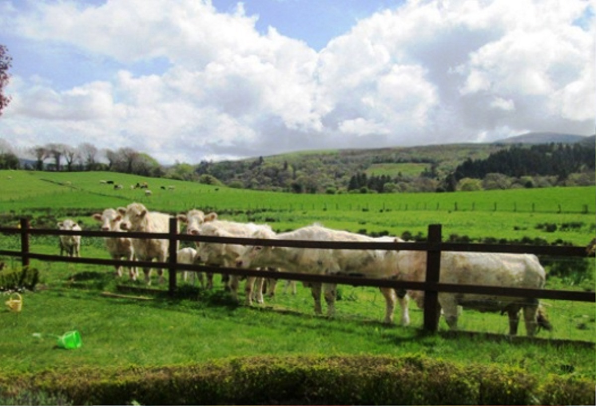 Ardtully Farmhouse