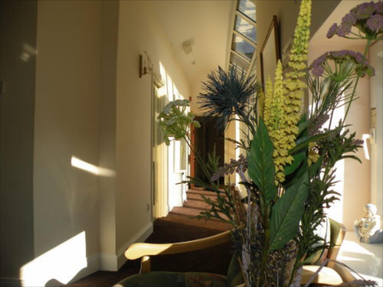 Harmony Inn - Kingscourt