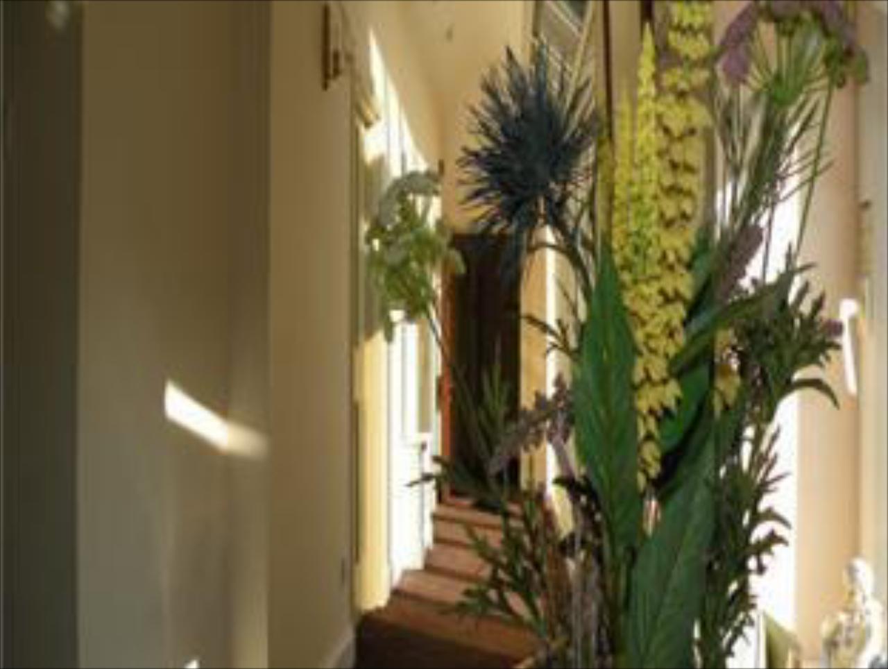 Harmony Inn - Kingscourt