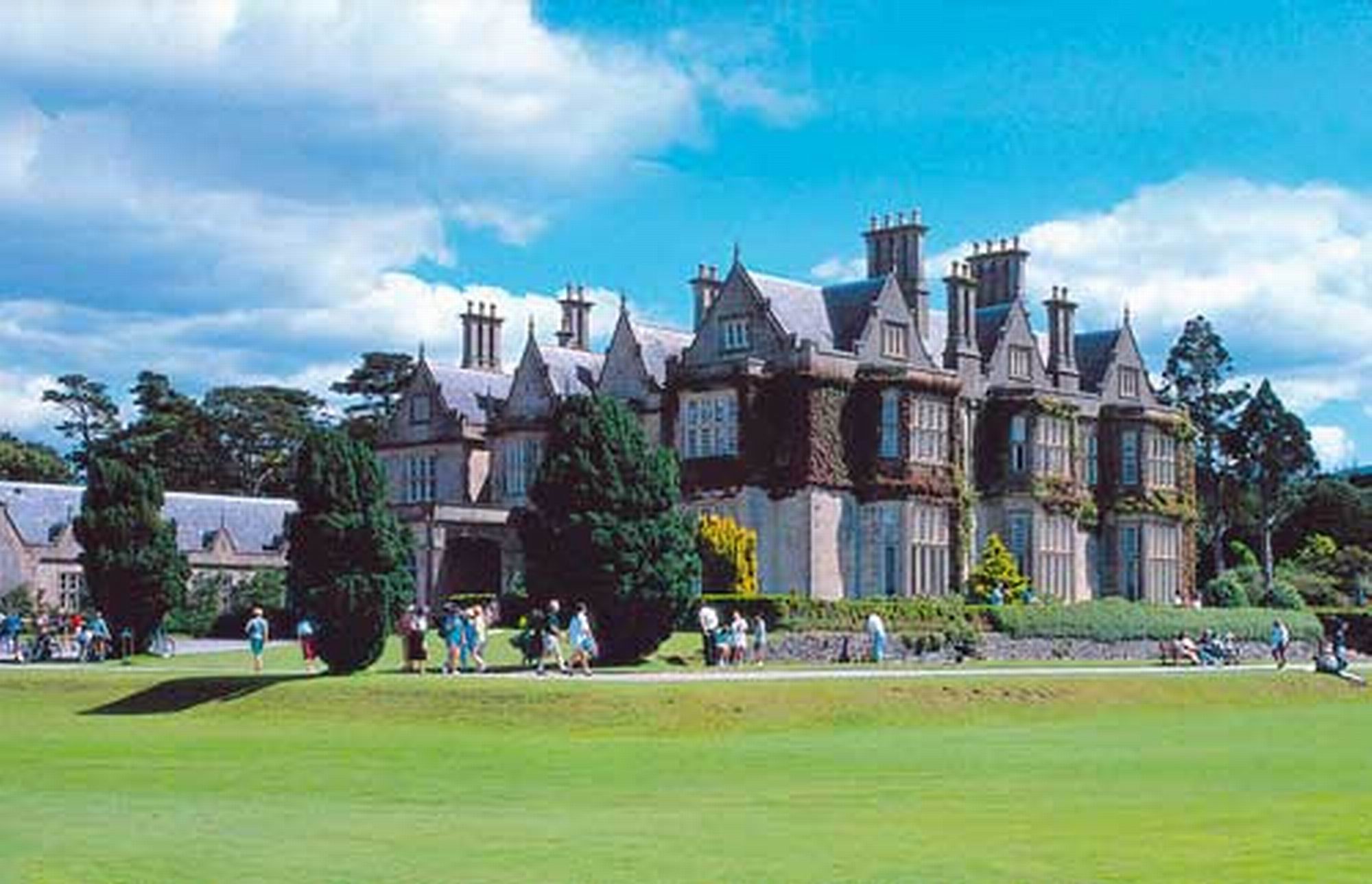 The Invicta B&B