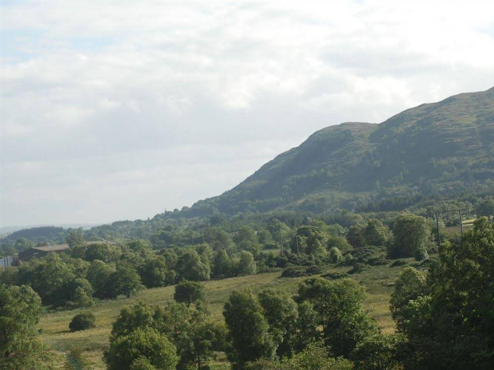 Bluebell House B&B