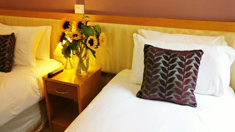The Pier Hotel Limerick