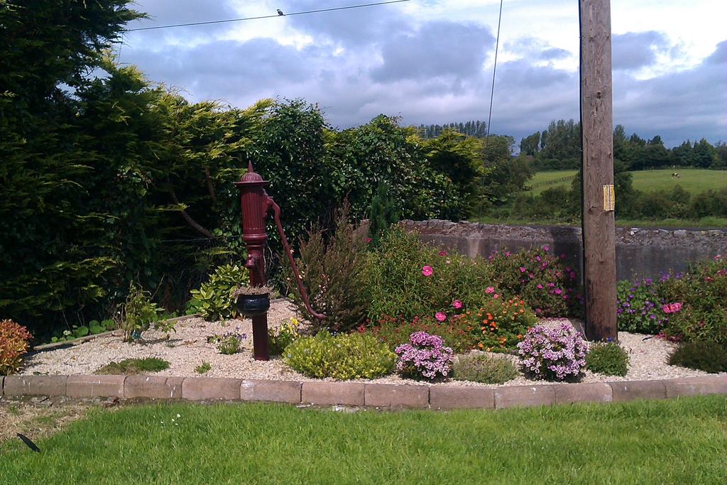 Abbey View B&B