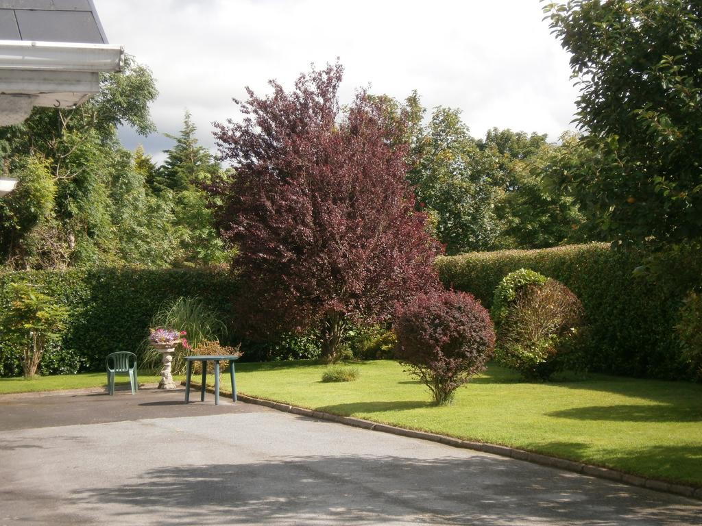 St. Bridget's B&B