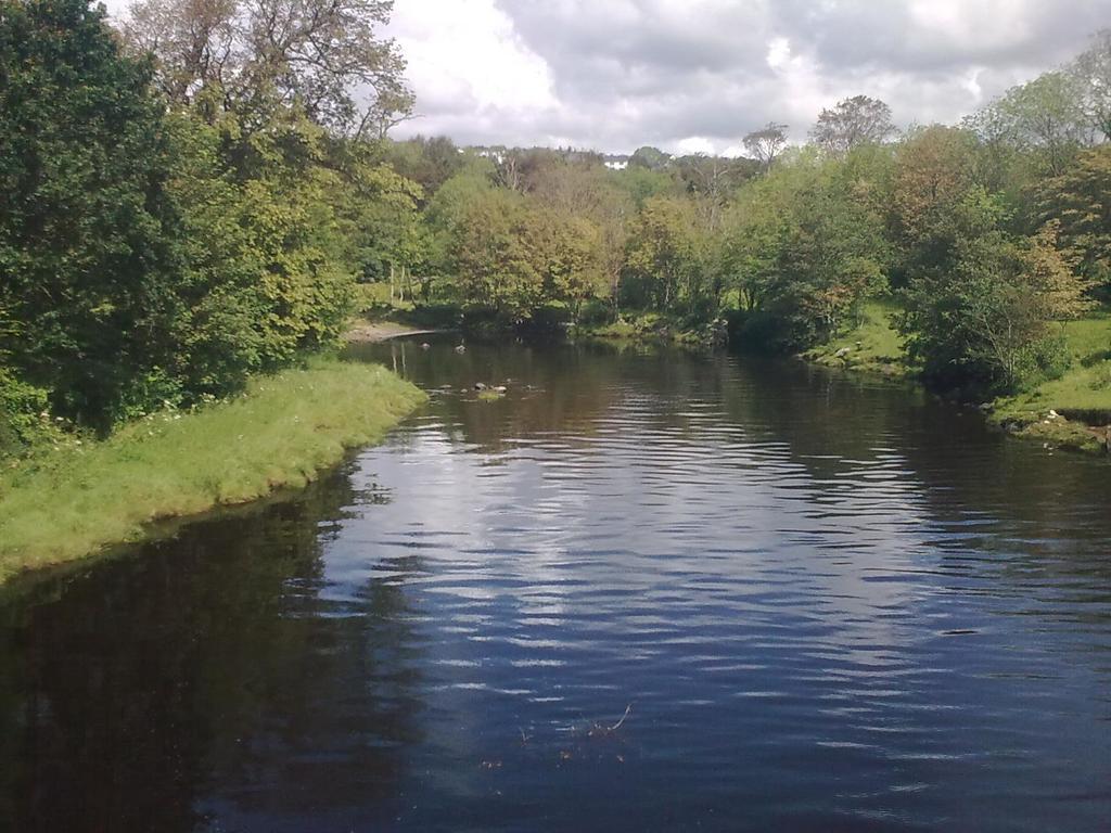 St. Bridget's B&B