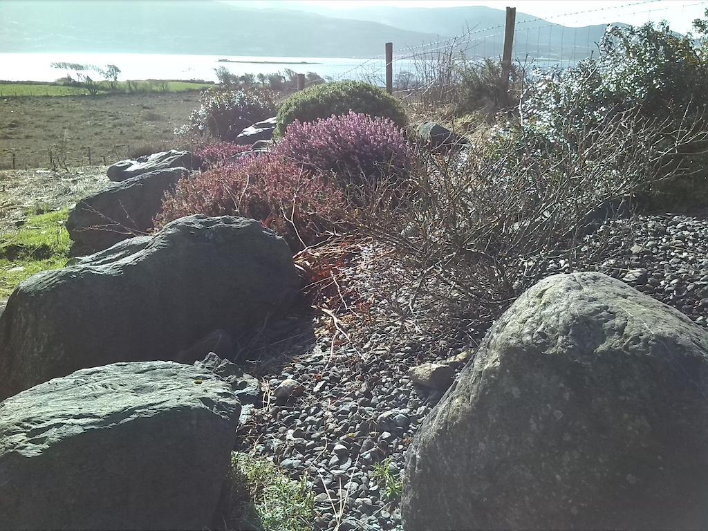 Currane Lodge Bed and Breakfast