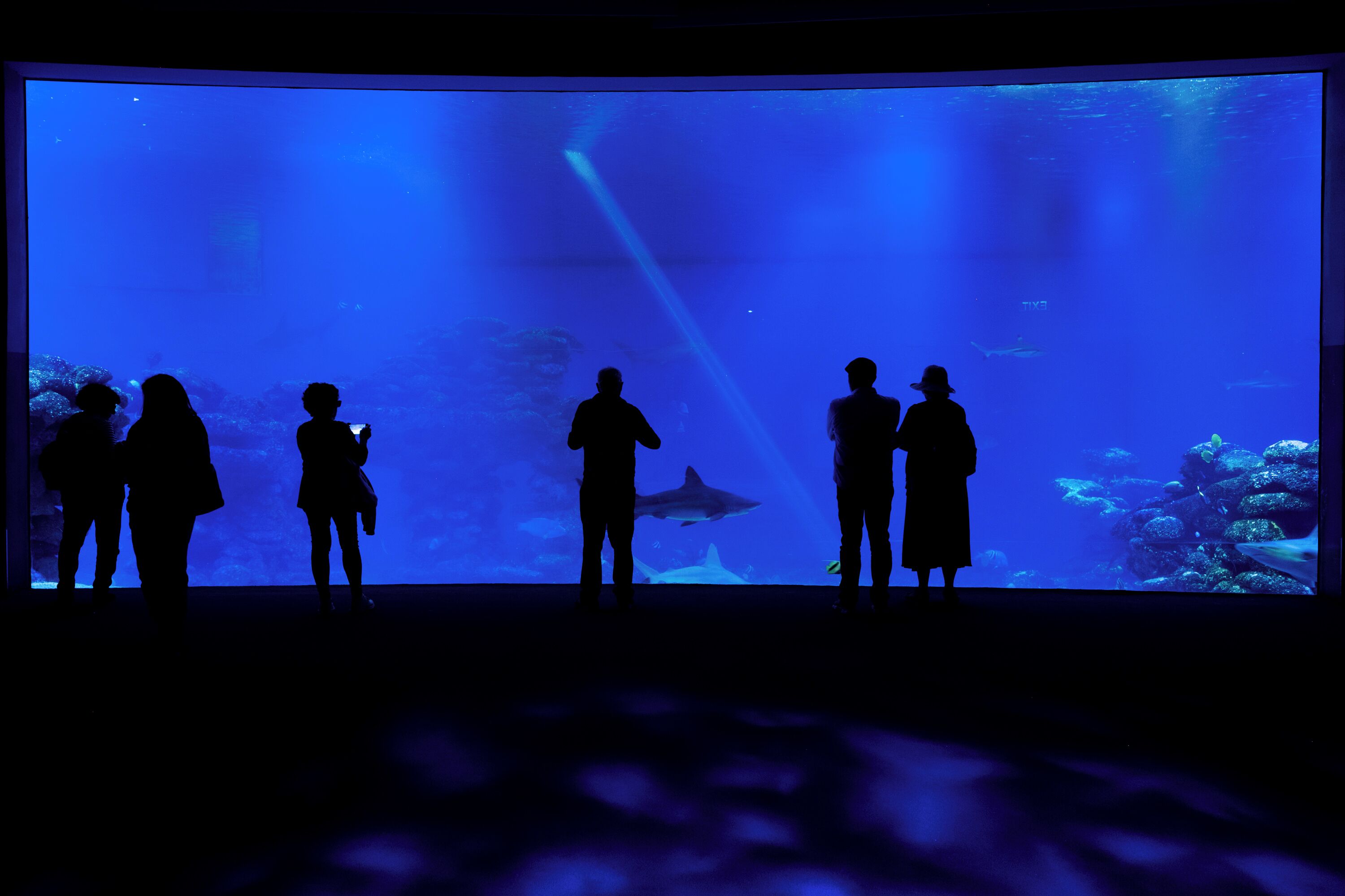 Royal Park Resort Apartments by Sea N' Rent