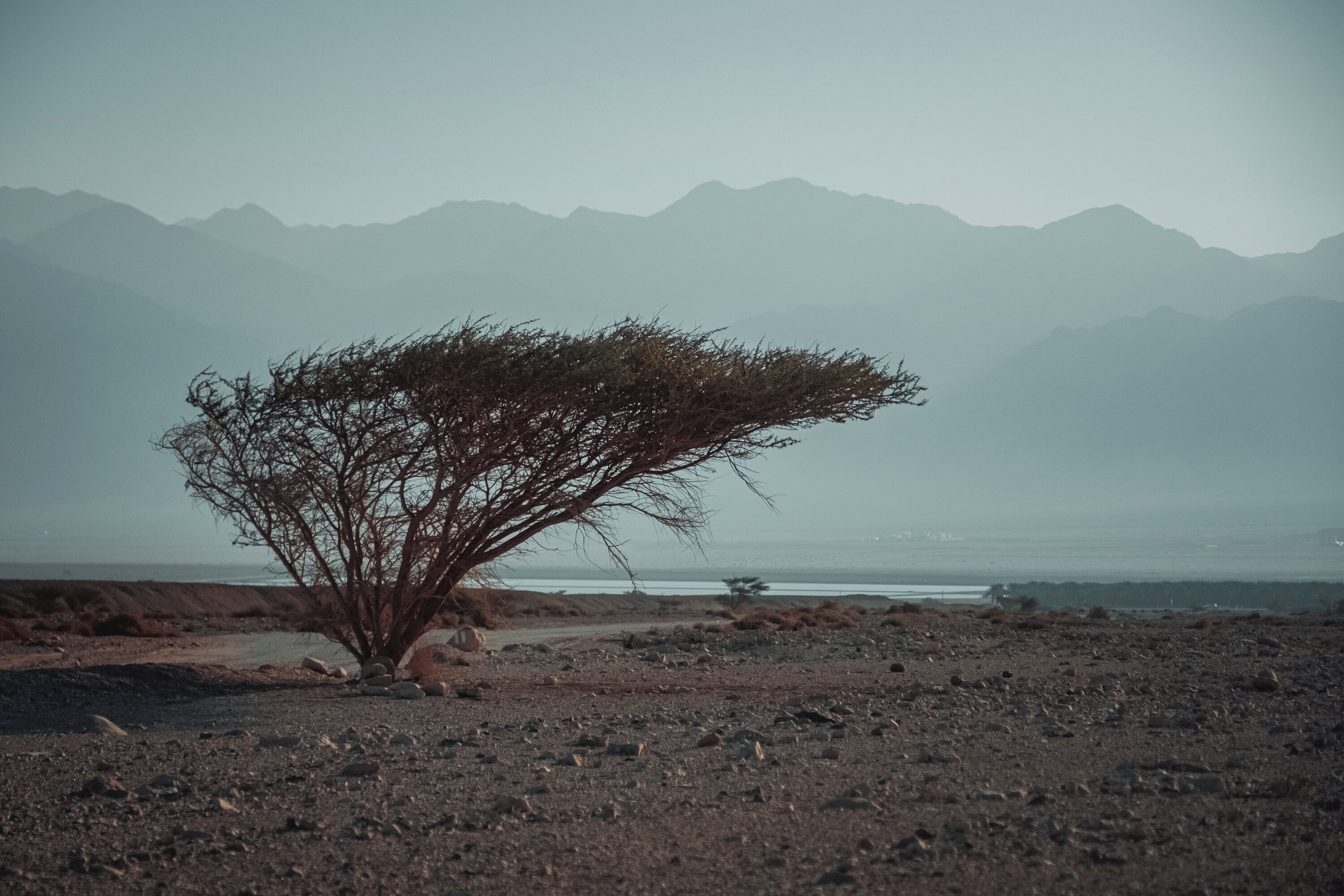 Royal Park Resort Apartments by Sea N' Rent