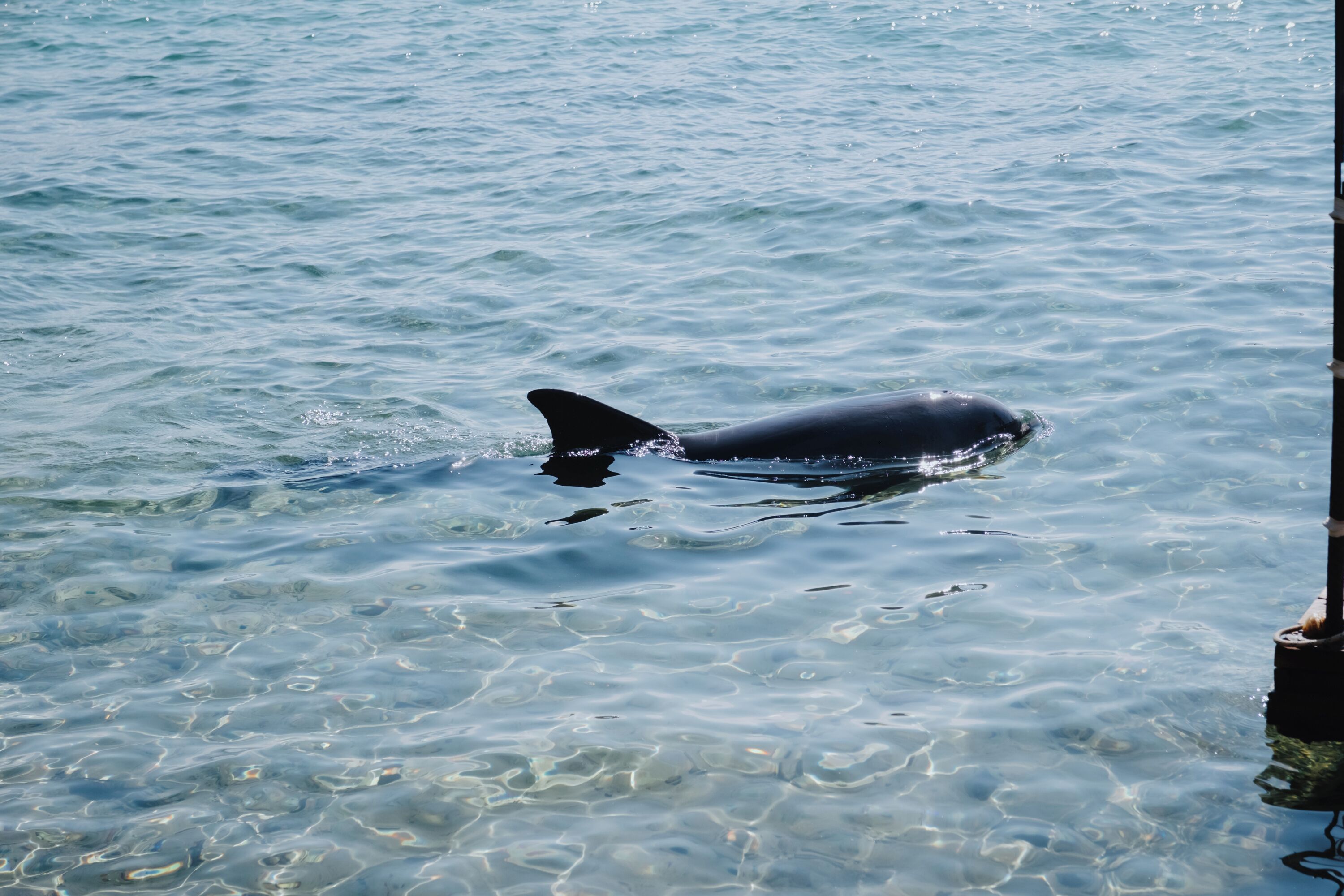 Royal Park Resort Apartments by Sea N' Rent