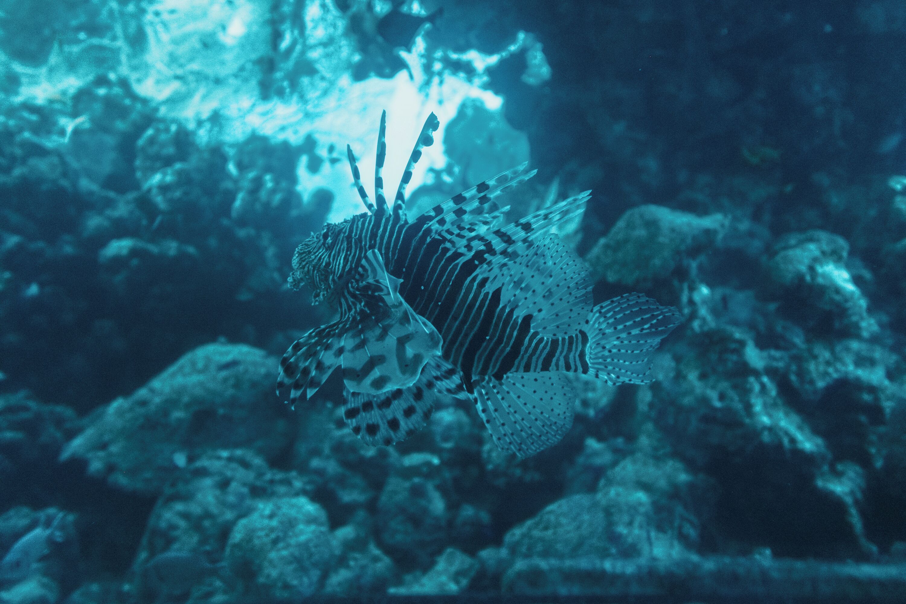 Royal Park Resort Apartments by Sea N' Rent