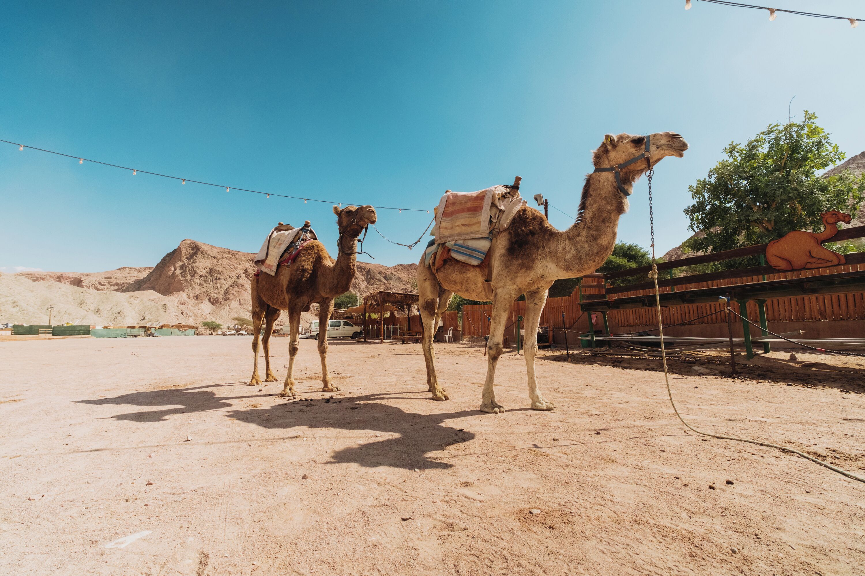 Royal Park Resort Apartments by Sea N' Rent