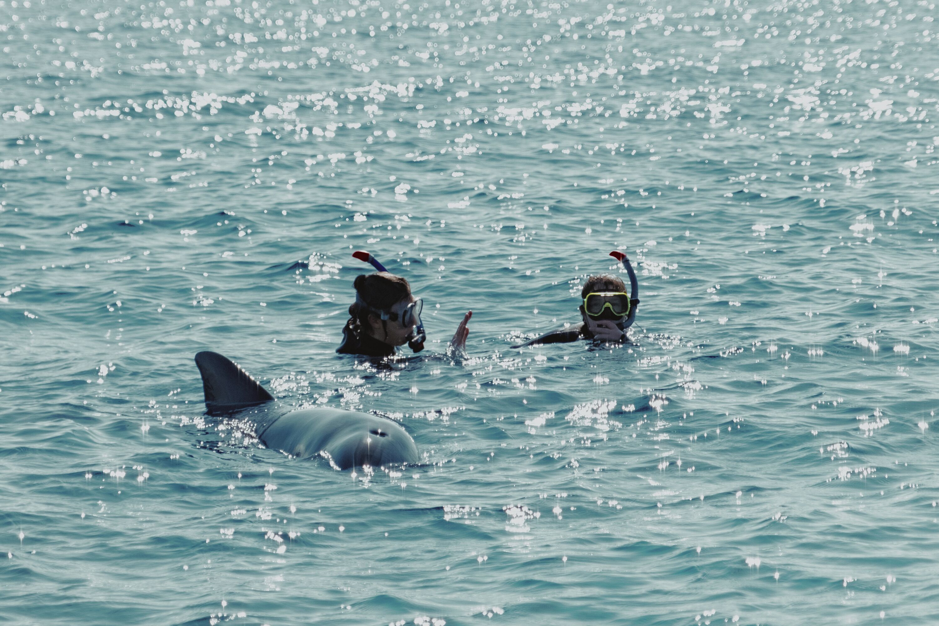 Royal Park Resort Apartments by Sea N' Rent