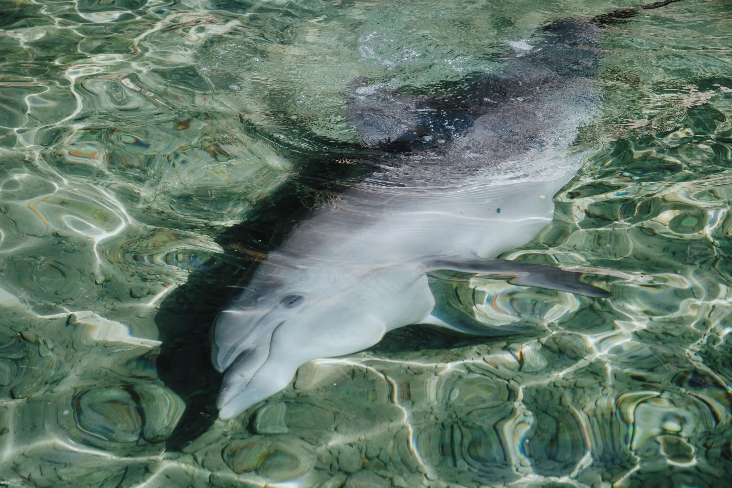 Royal Park Resort Apartments by Sea N' Rent