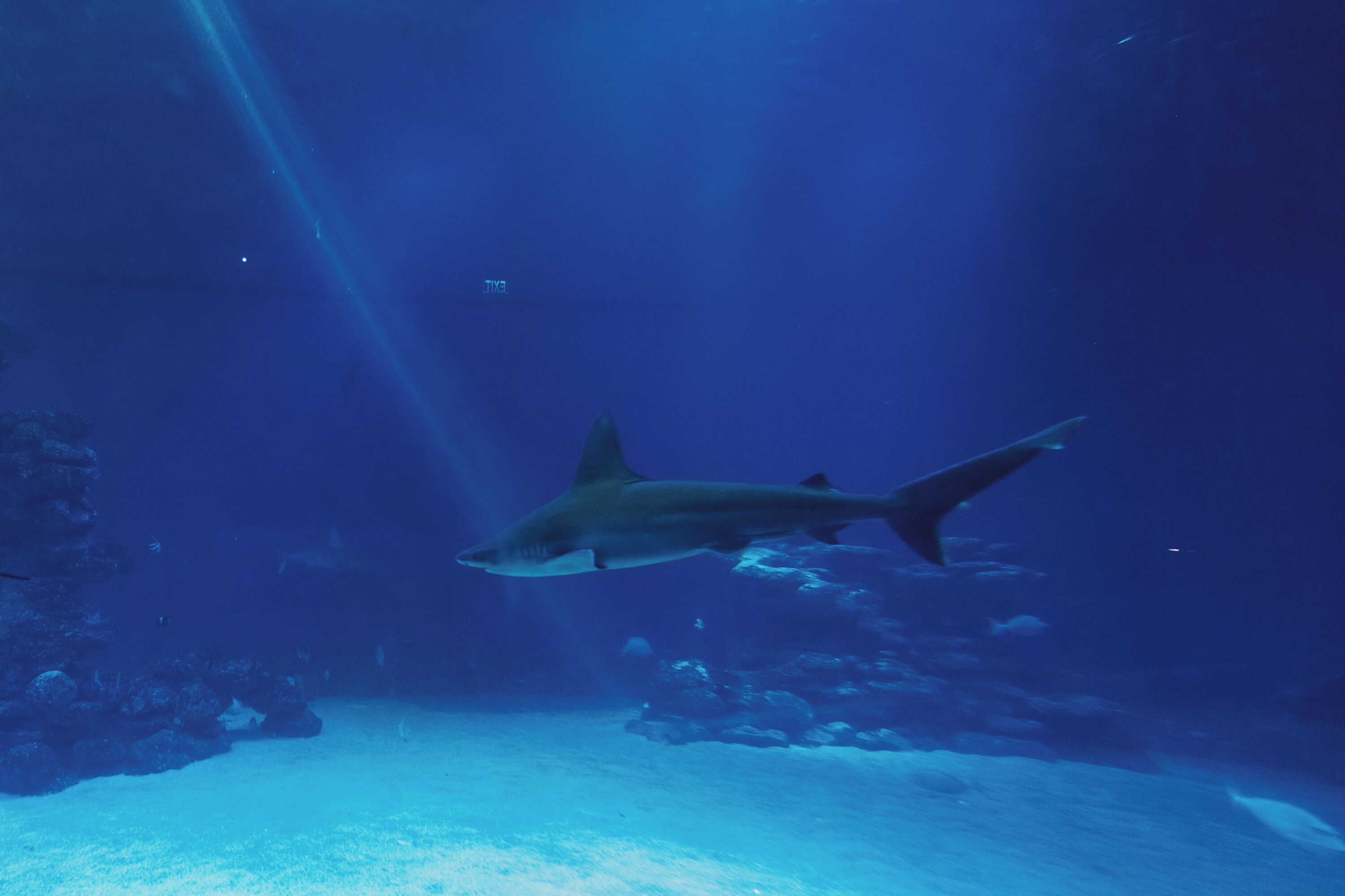 Royal Park Resort Apartments by Sea N' Rent