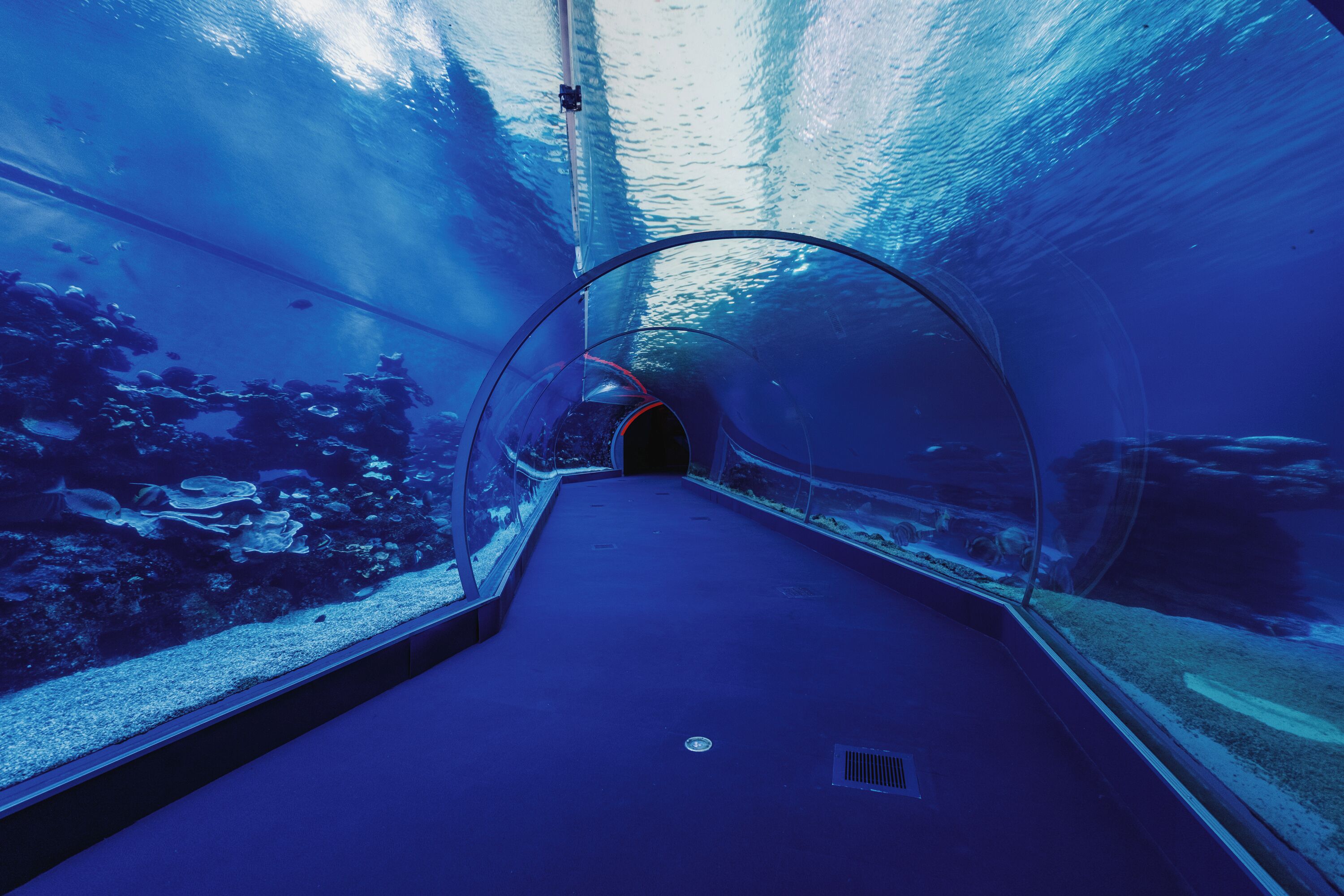 Royal Park Resort Apartments by Sea N' Rent