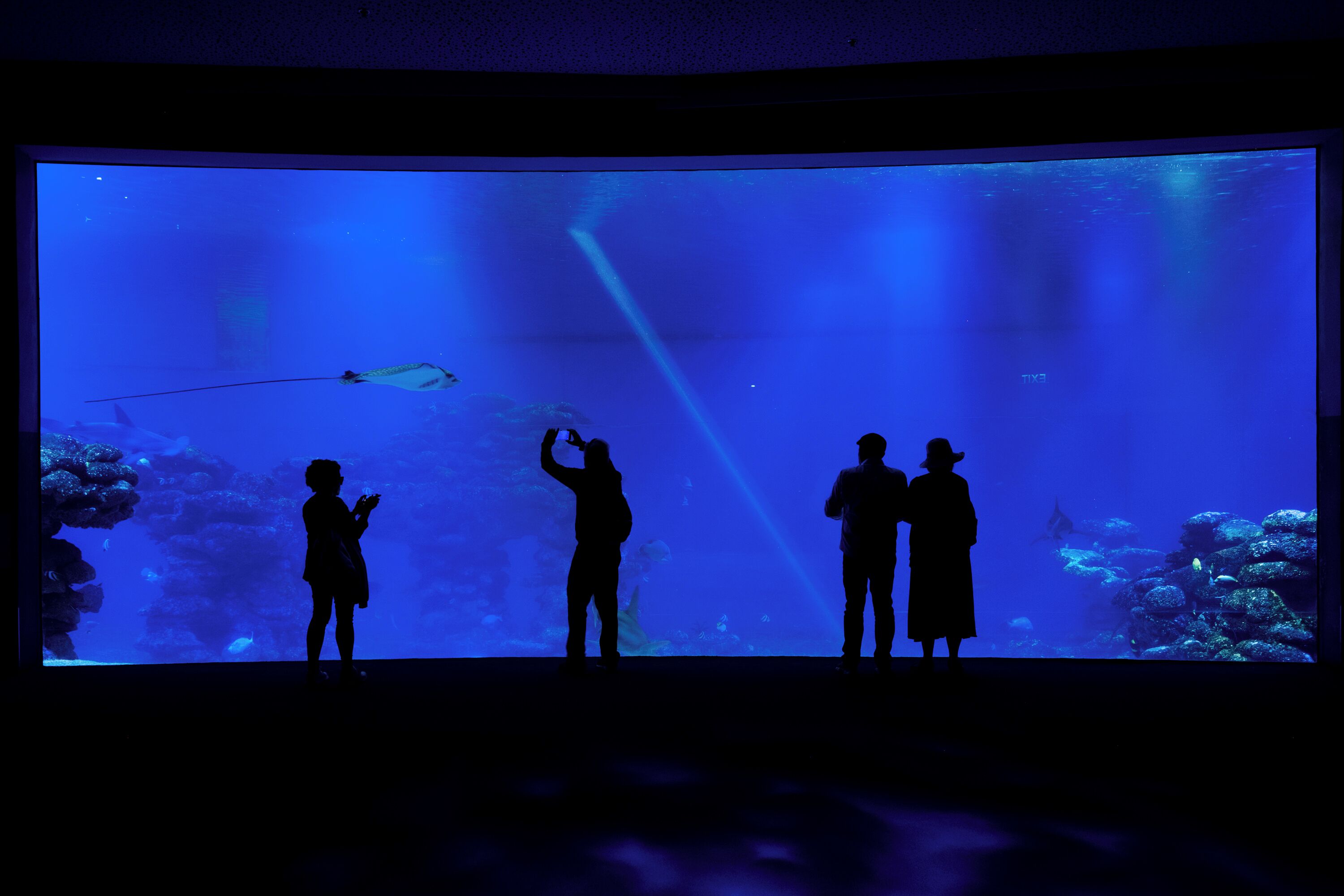 Royal Park Resort Apartments by Sea N' Rent