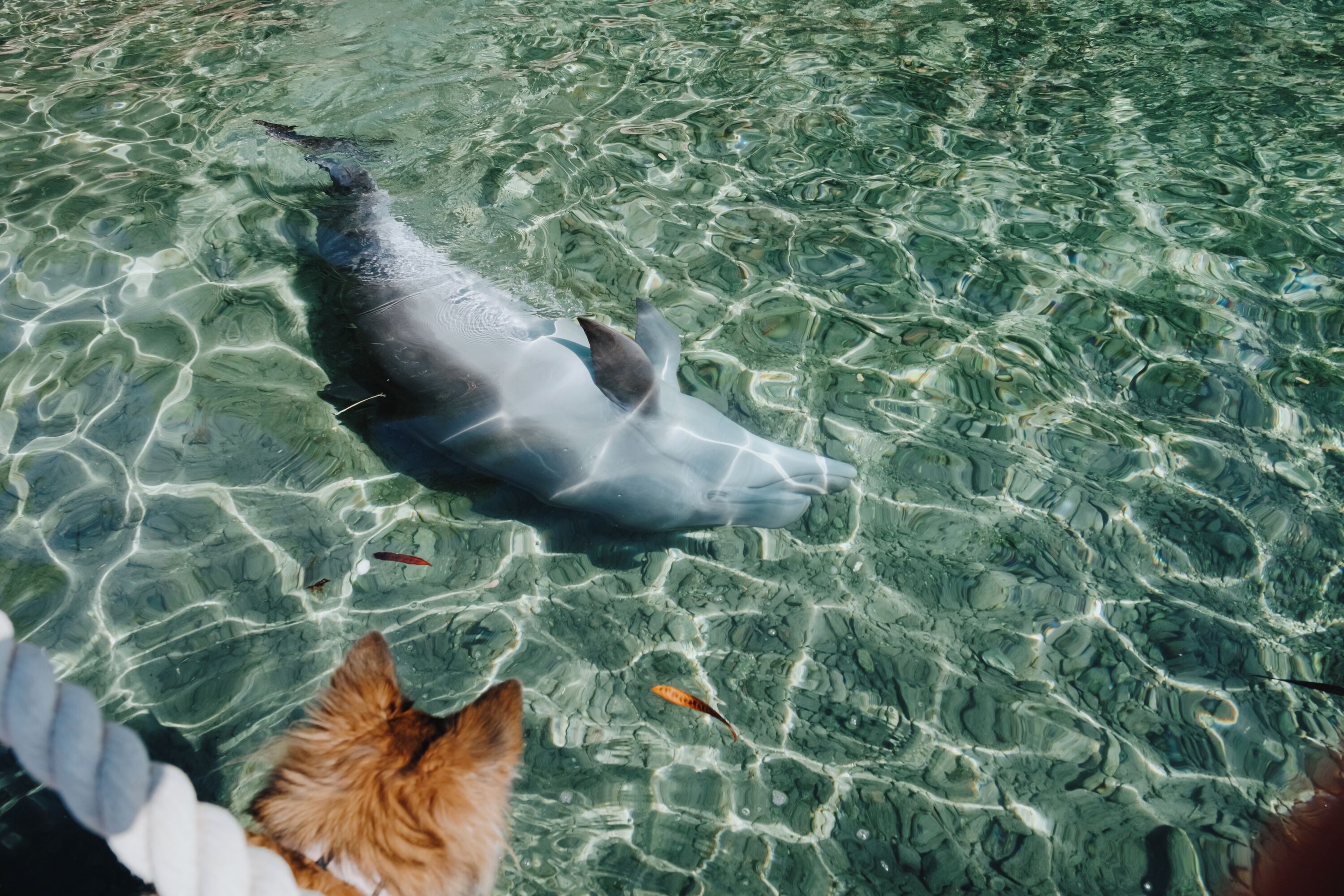 Royal Park Resort Apartments by Sea N' Rent