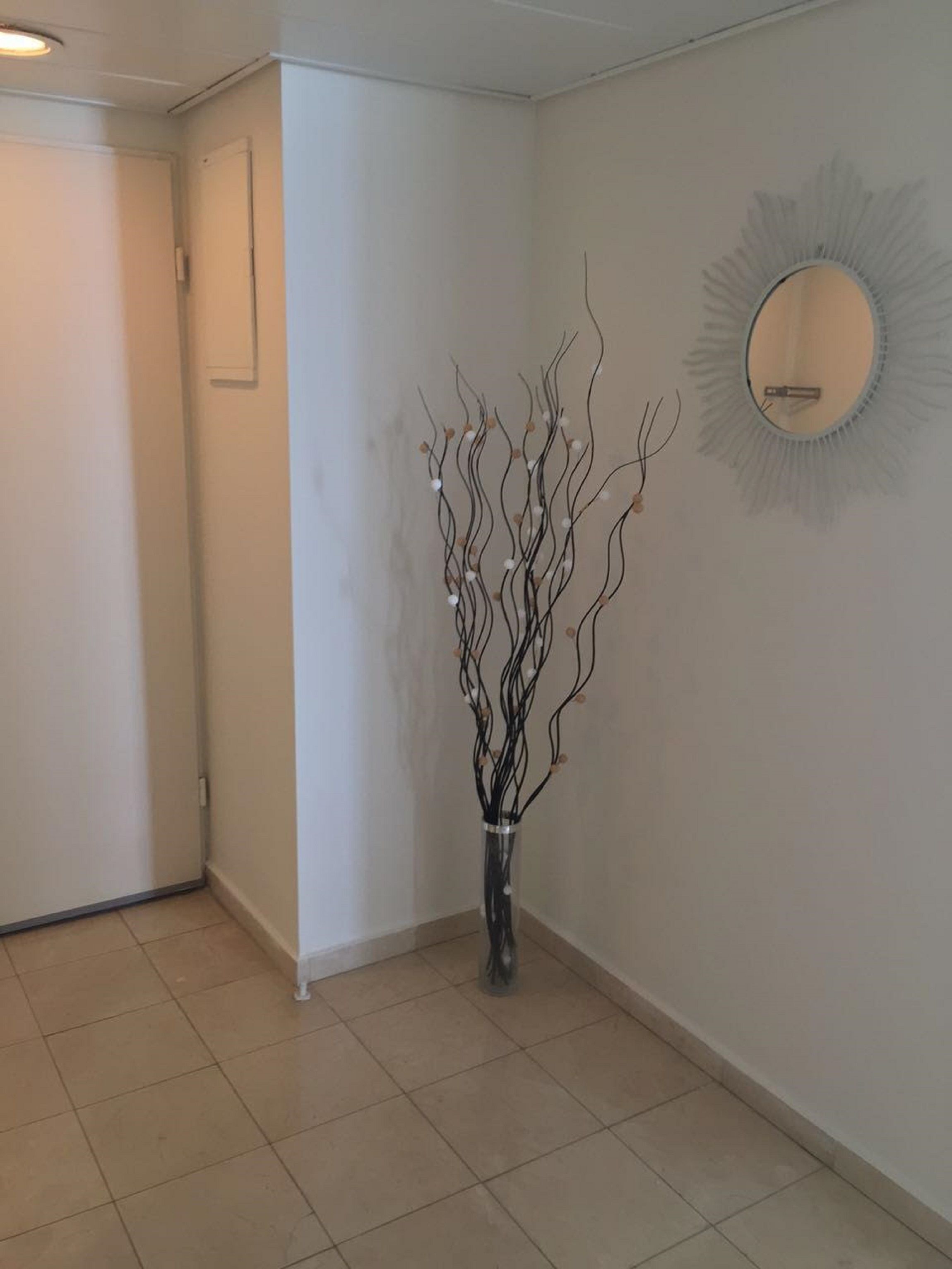 Almog Building