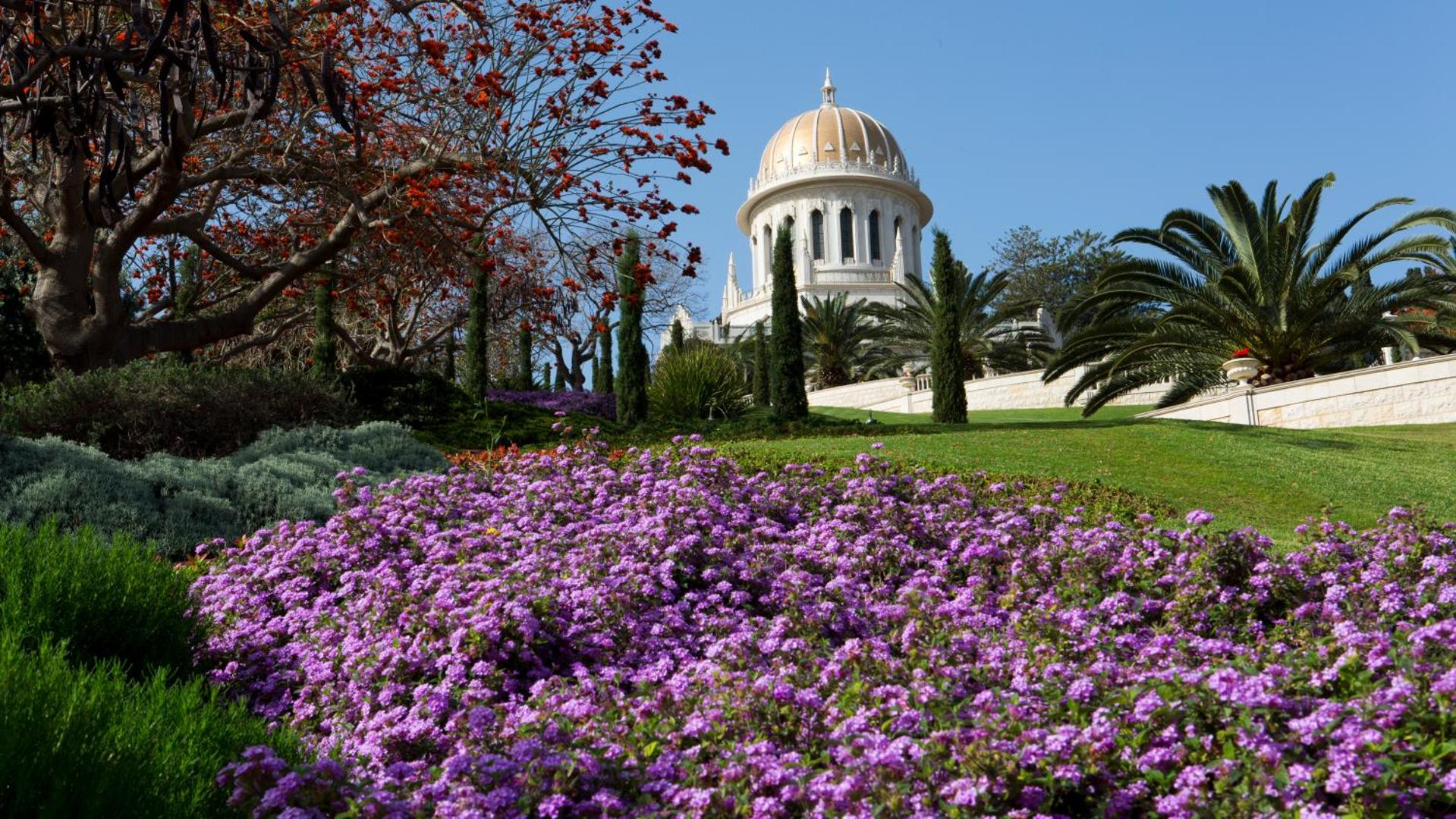Bay View Haifa