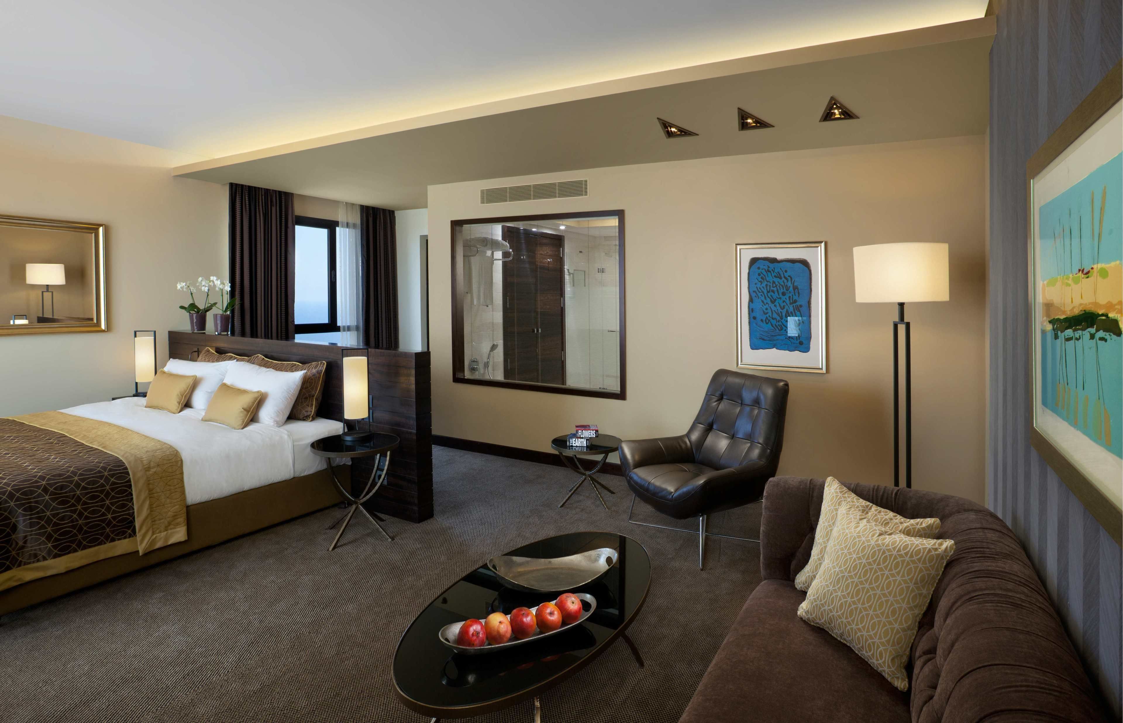 The Dan Carmel Hotel