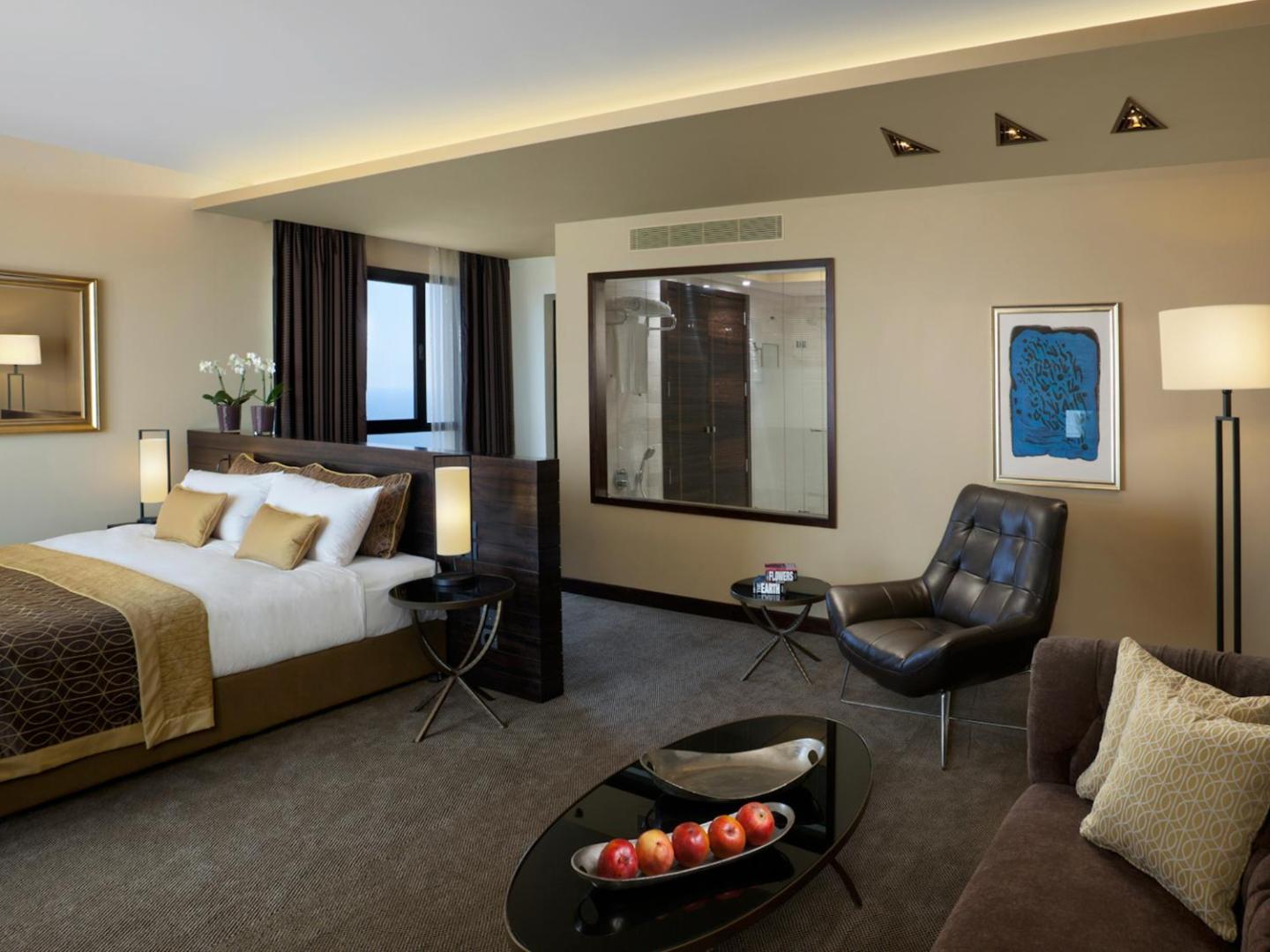 The Dan Carmel Hotel