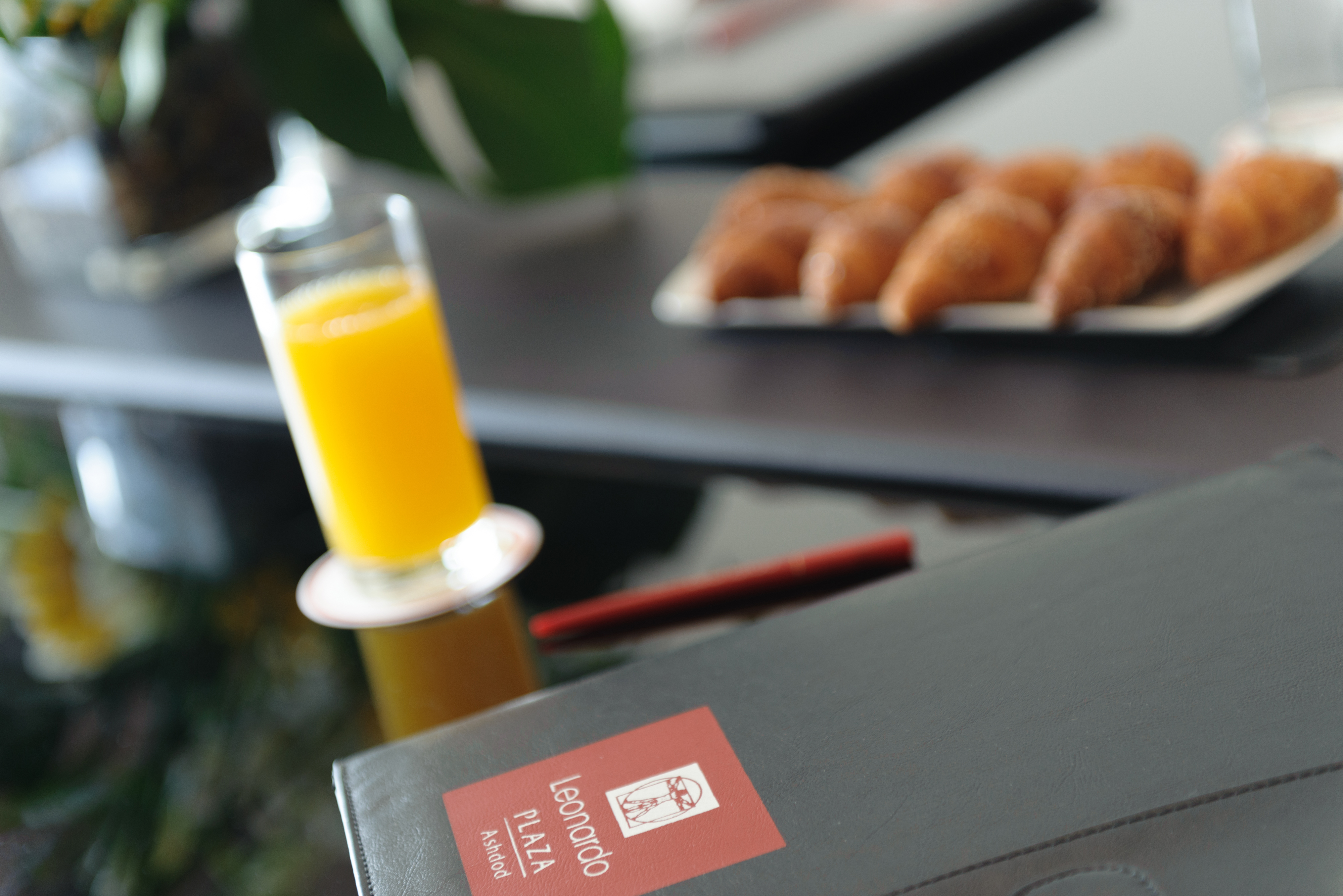 Leonardo Plaza Hotel Ashdod