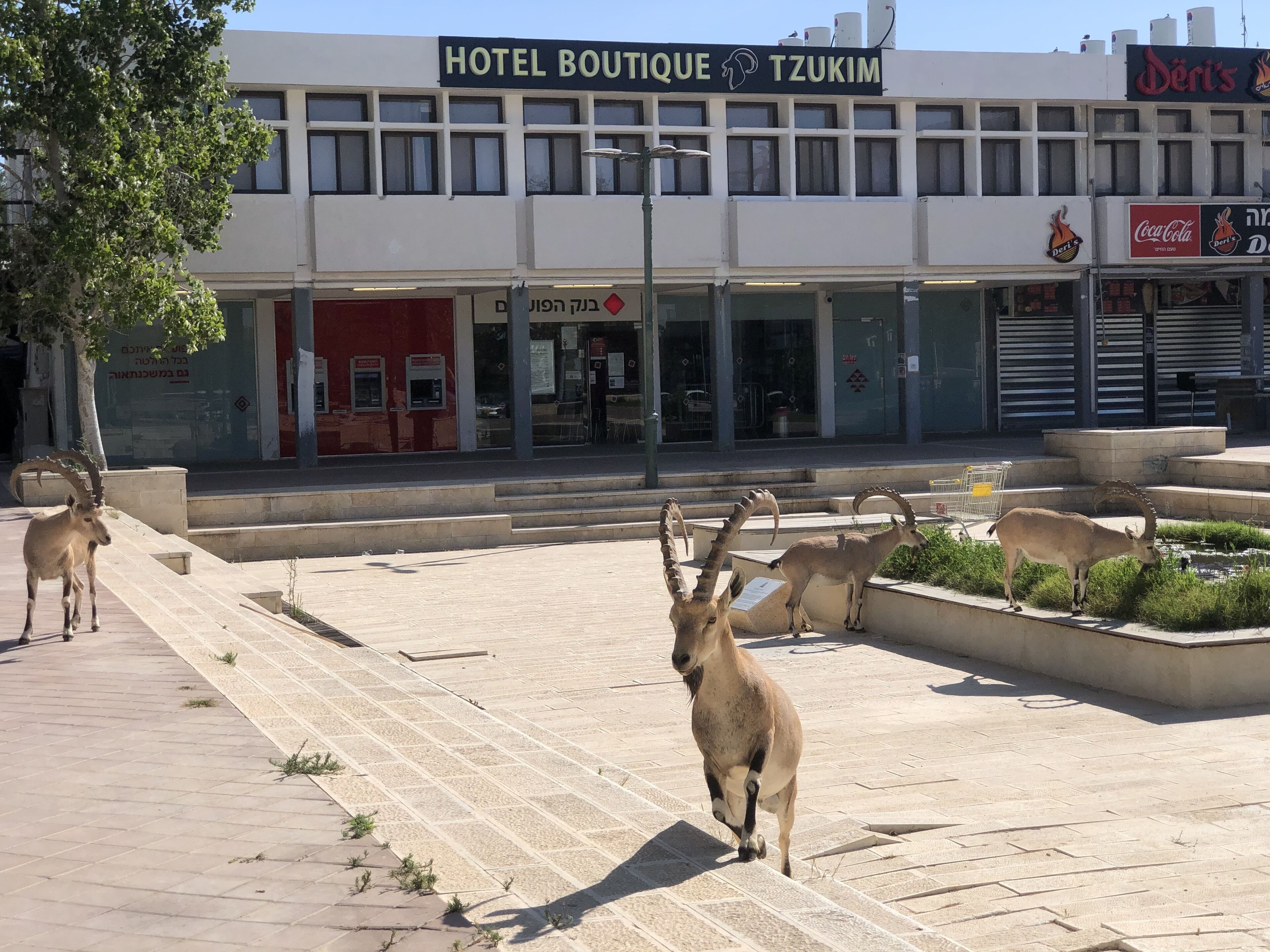 Boutique Hotel By Tzukim
