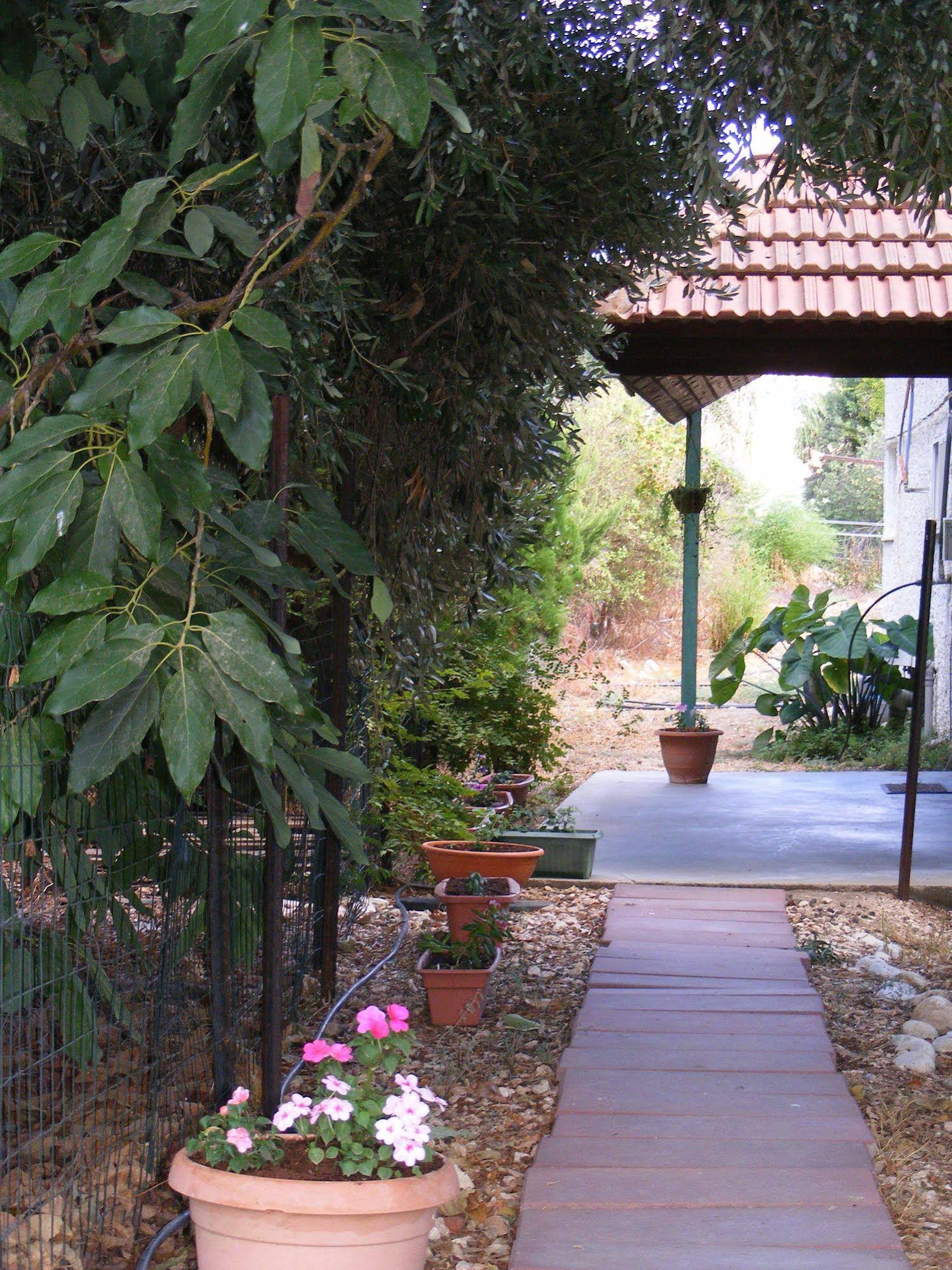 At Our Yard - Vacation Apartments in upper Galilee