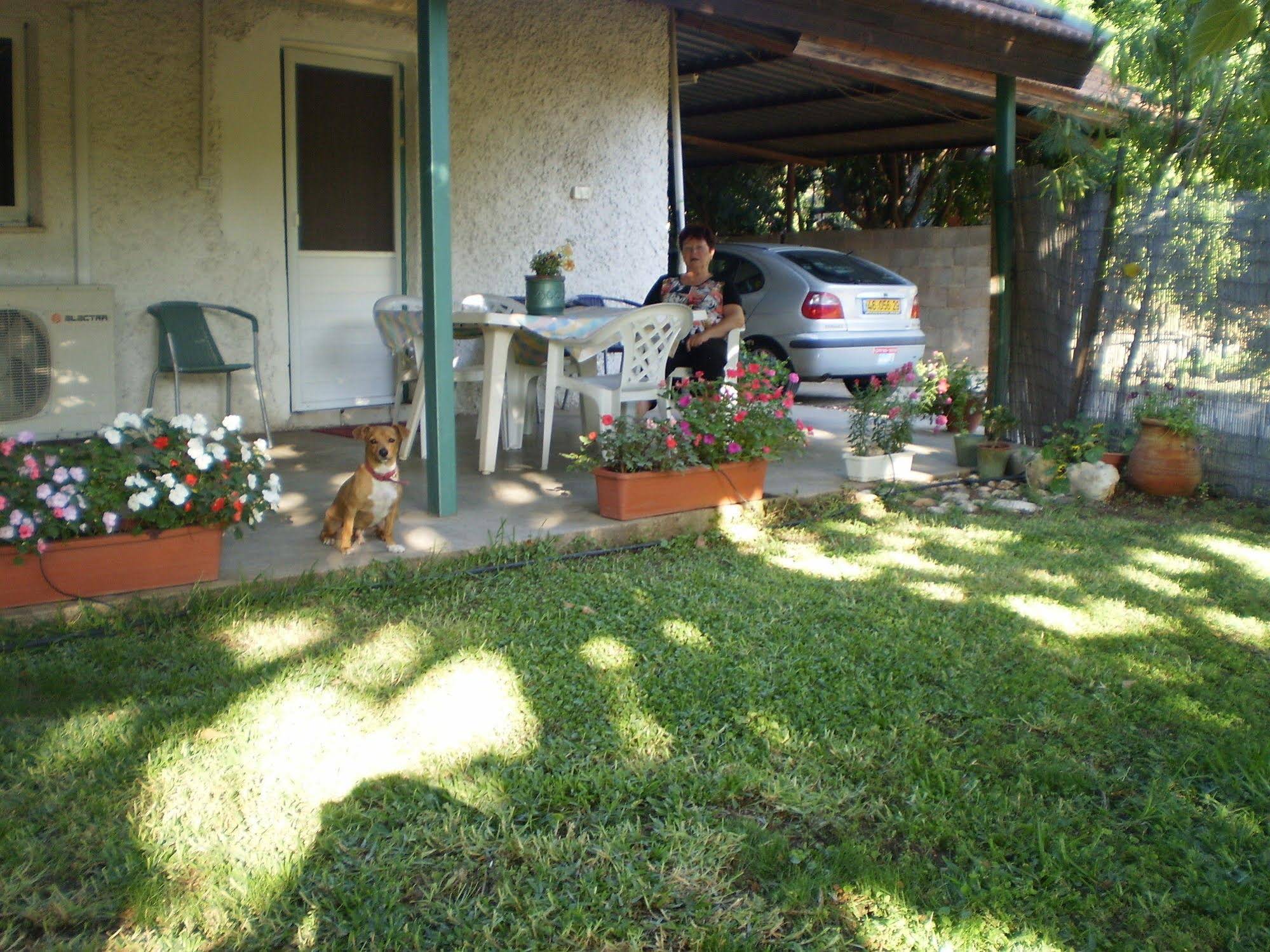 At Our Yard - Vacation Apartments in upper Galilee