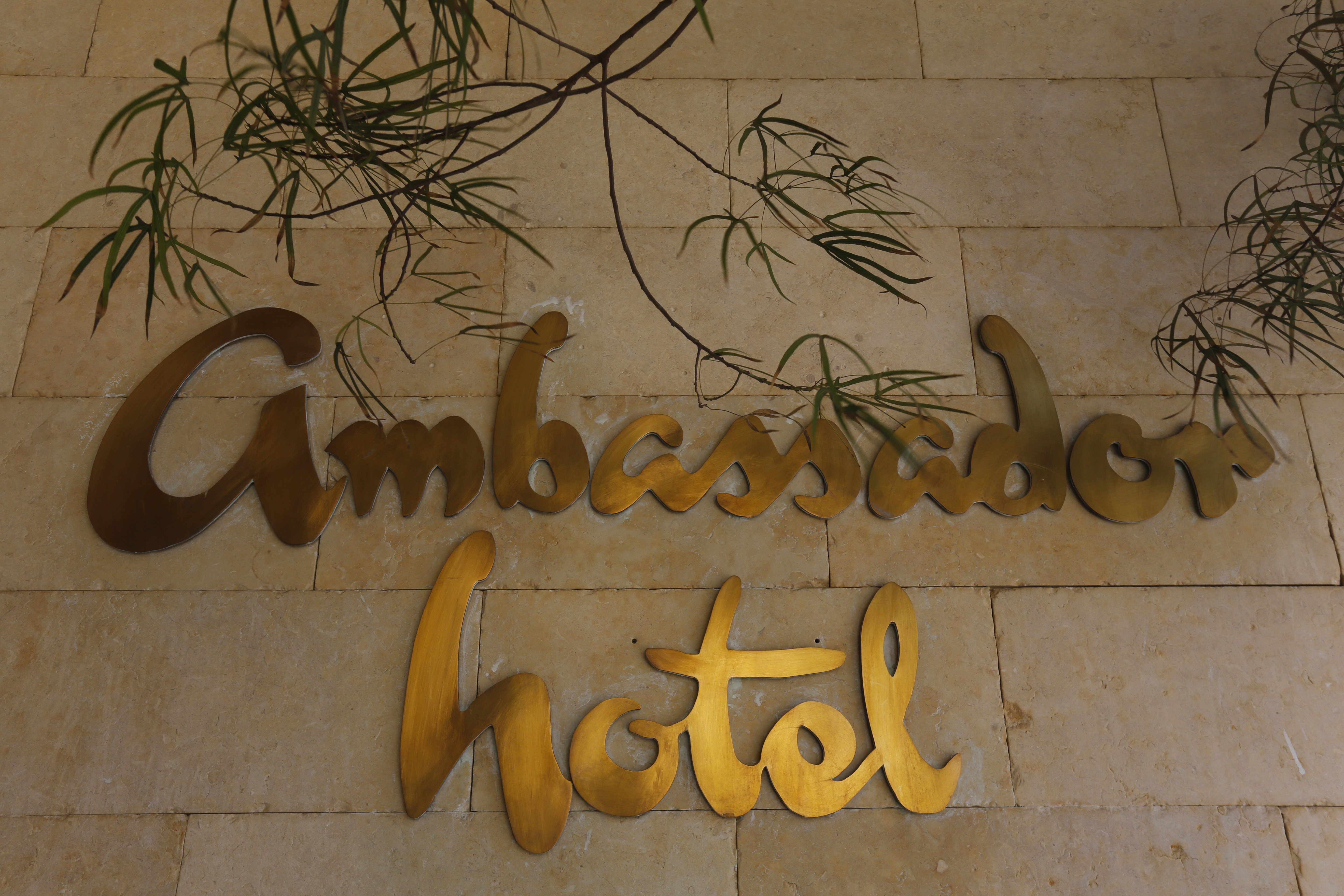 Ambassador