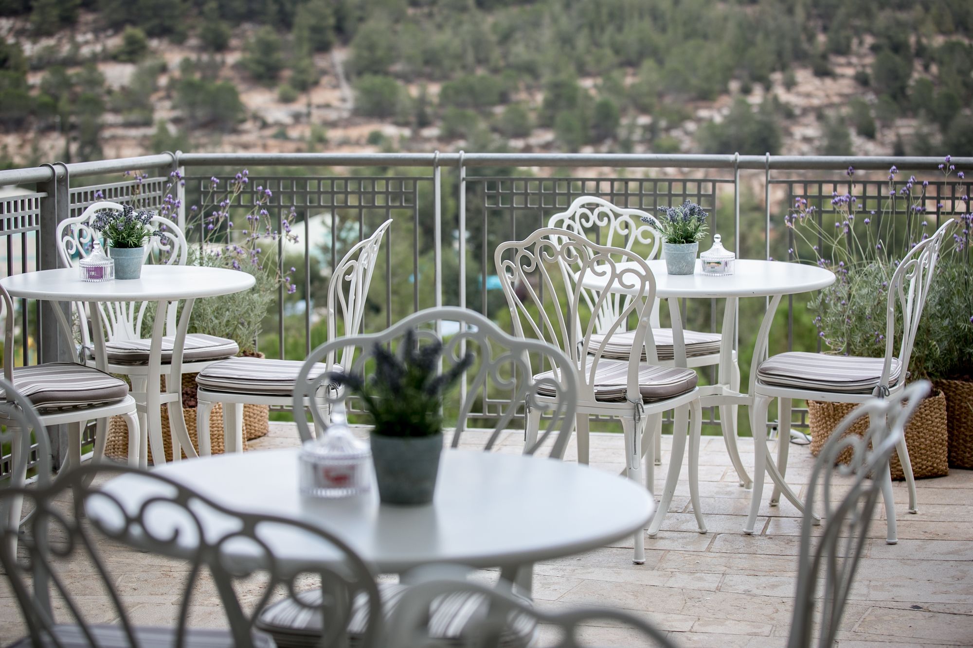 Hotel Yehuda