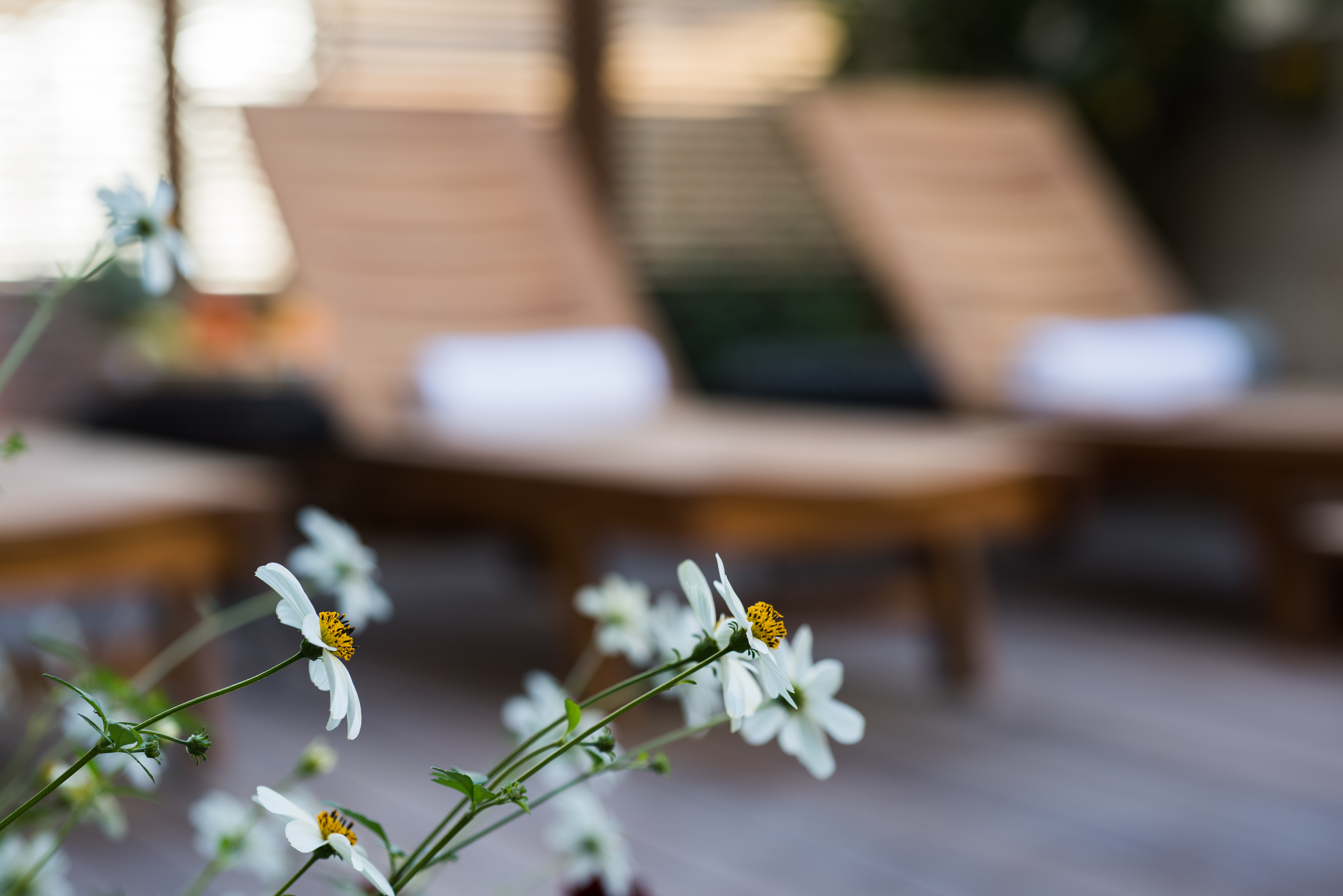 Leonardo Boutique Hotel Jerusalem