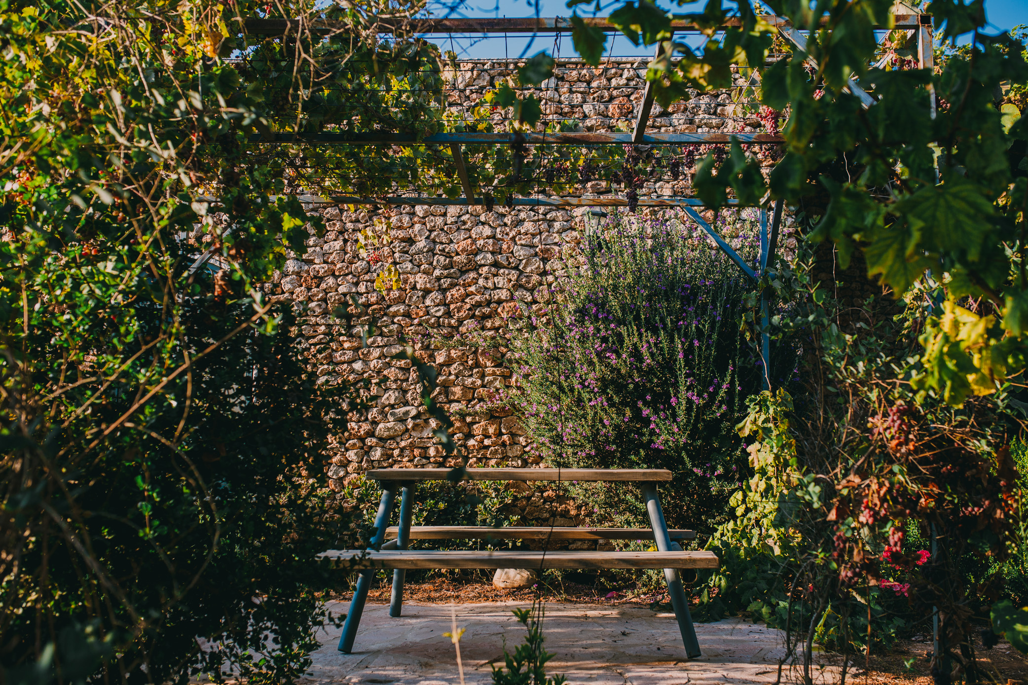Tur Sinai Organic Farm Resort