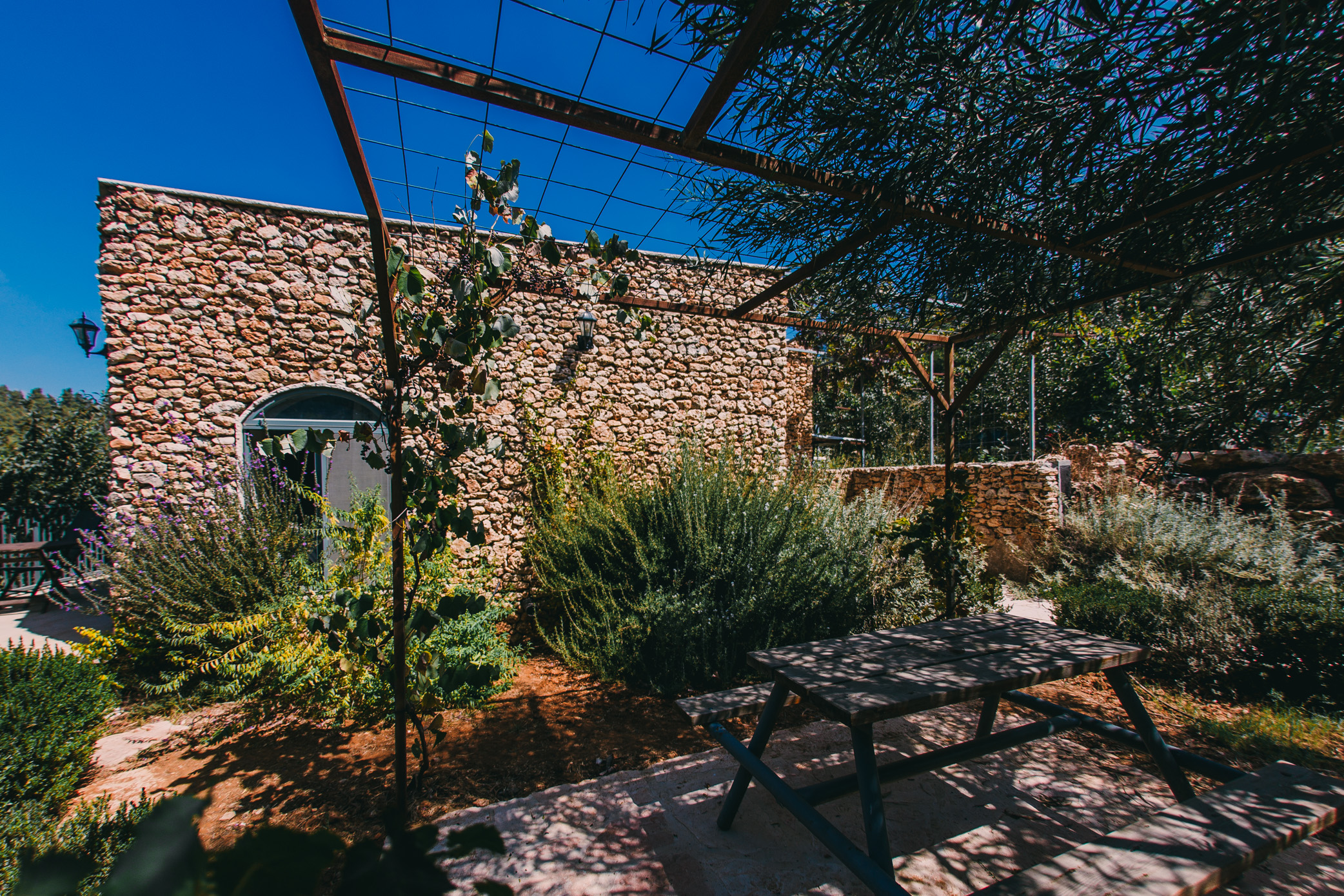 Tur Sinai Organic Farm Resort