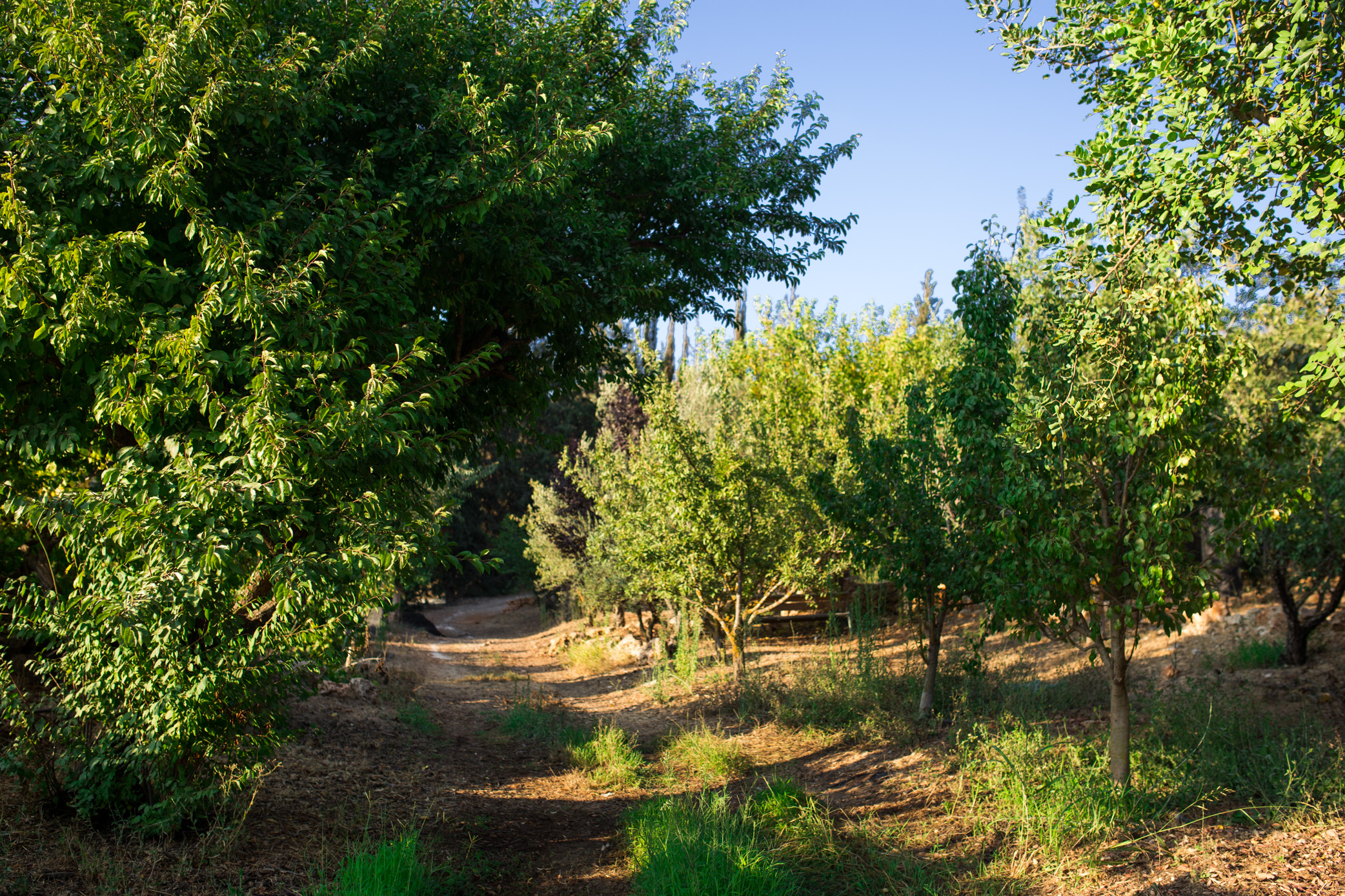 Tur Sinai Organic Farm Resort