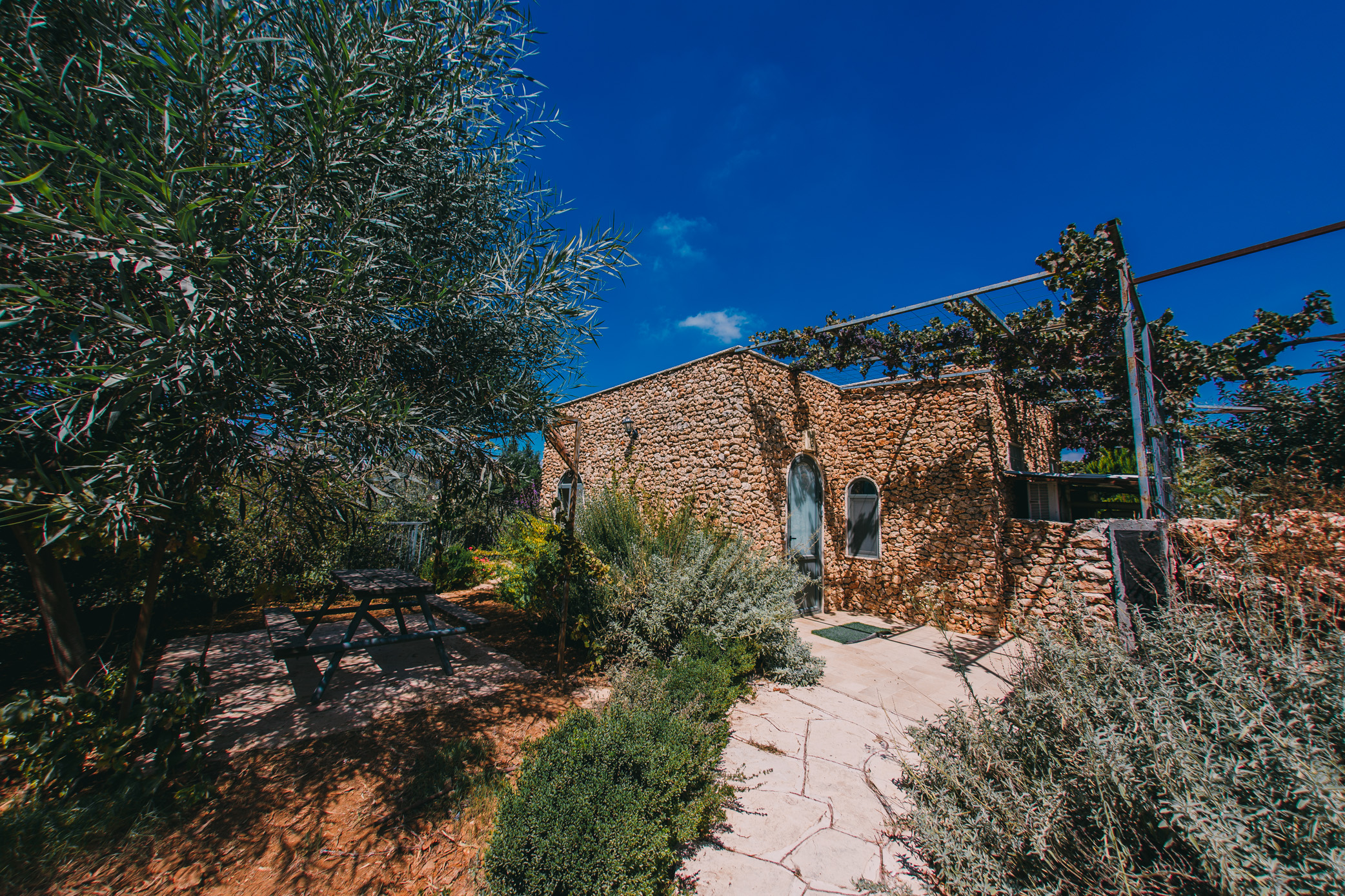 Tur Sinai Organic Farm Resort