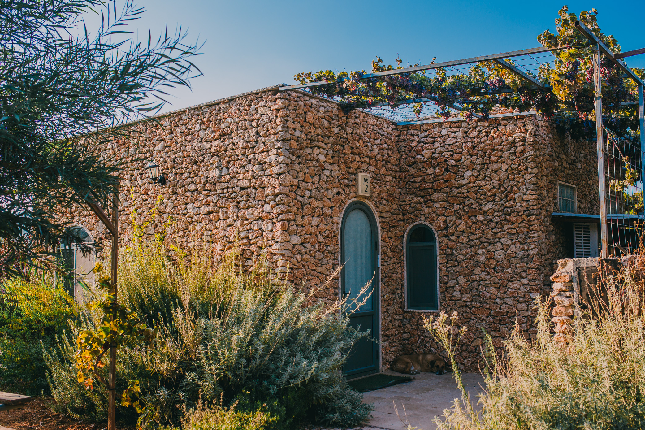 Tur Sinai Organic Farm Resort