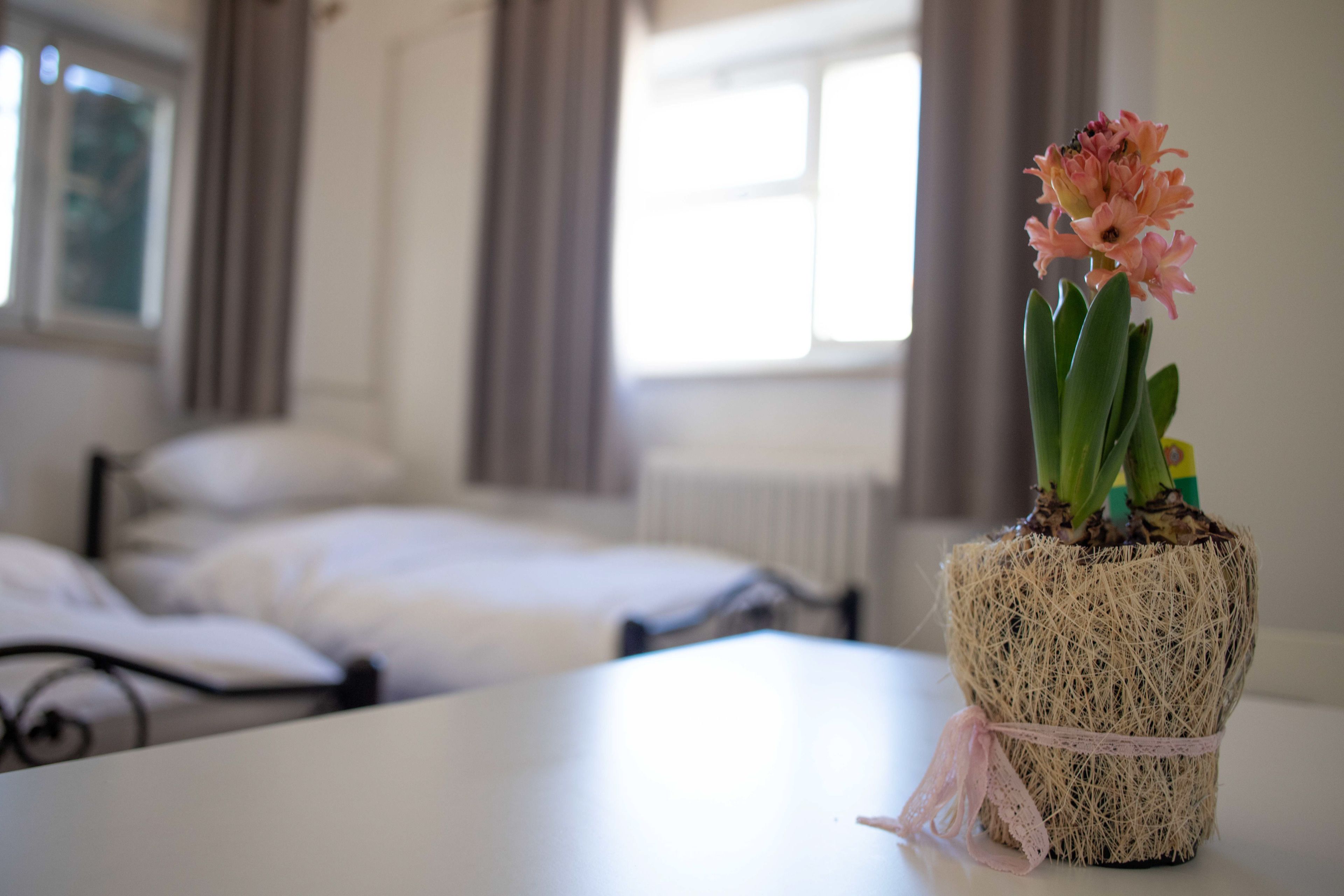 Tzefania Apartments Hotel