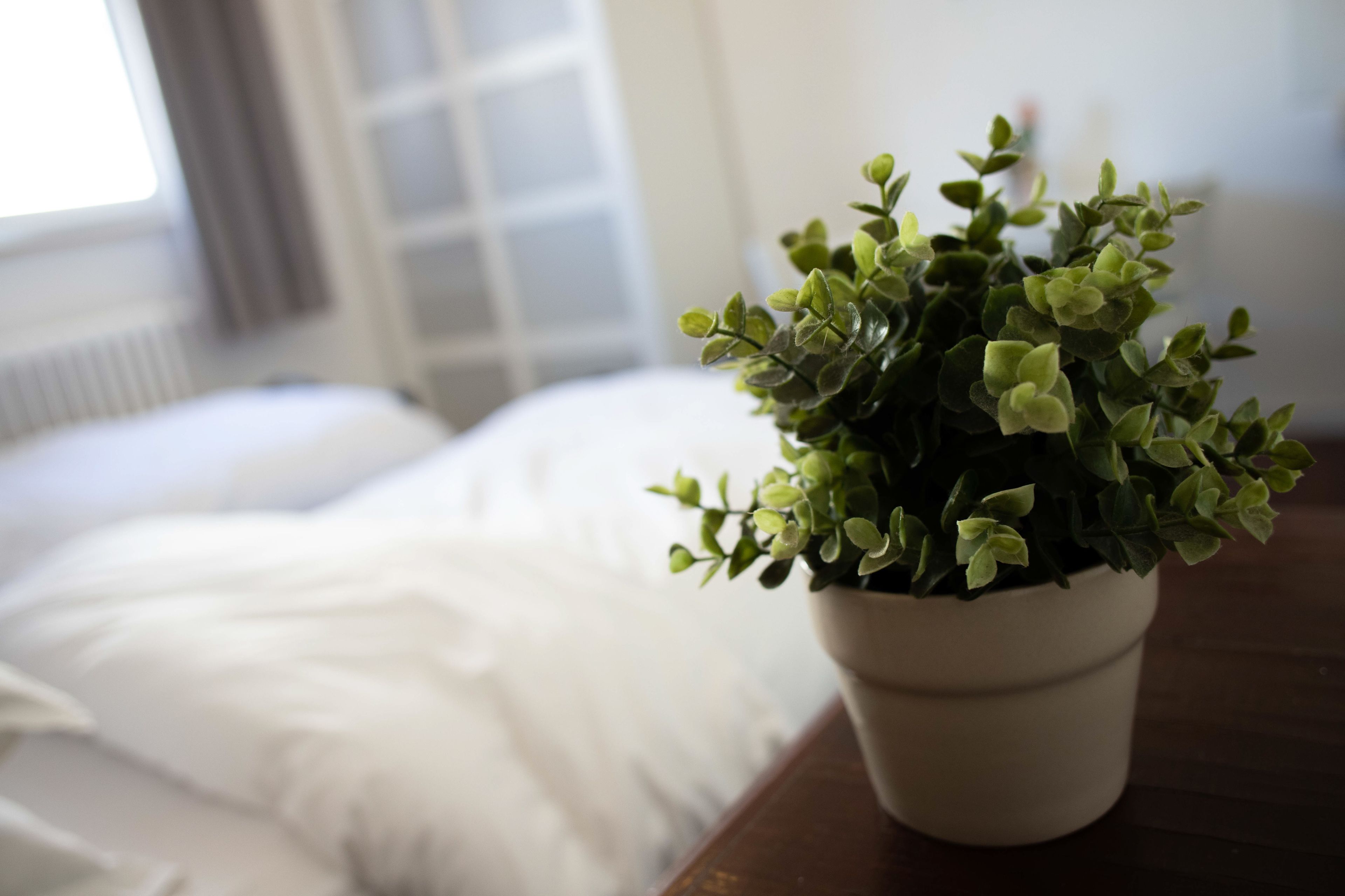 Tzefania Apartments Hotel
