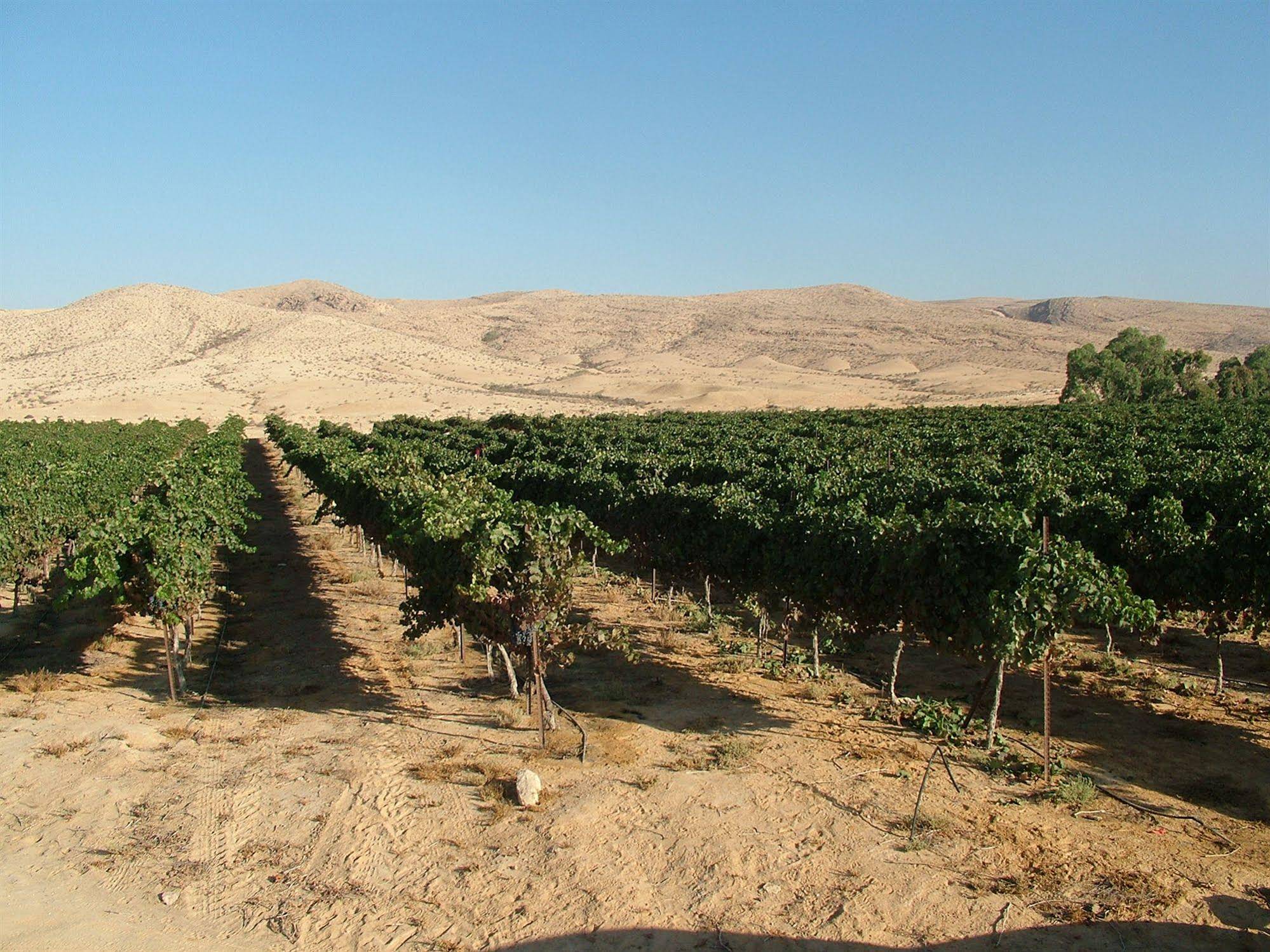 Boker Valley Vineyards Farm