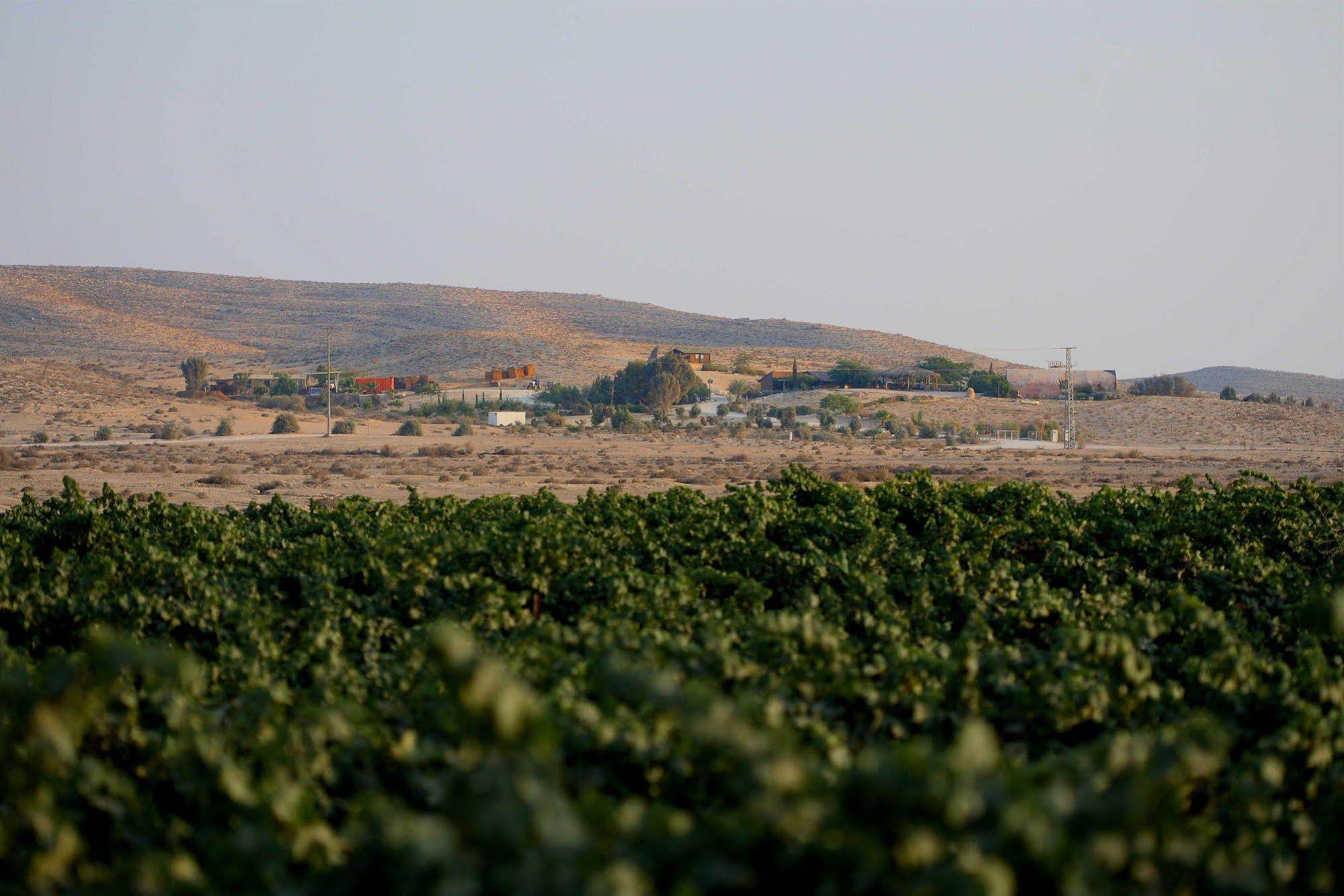 Boker Valley Vineyards Farm