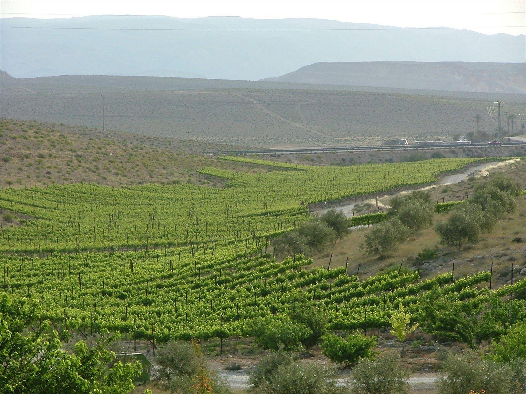 Desert Estate Carmey Avdat